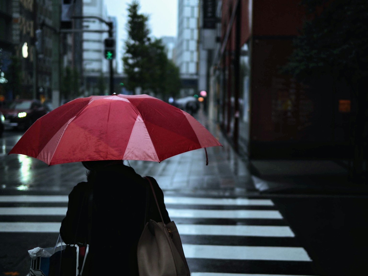 一个人撑着红伞在雨中过马路背景模糊的城市景观