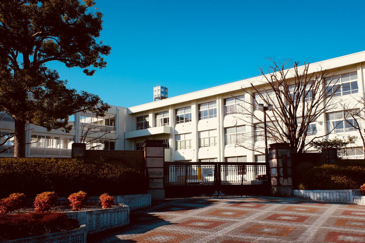อาคารโรงเรียนสีขาวใต้ท้องฟ้าสีฟ้ากับต้นไม้สีเขียว