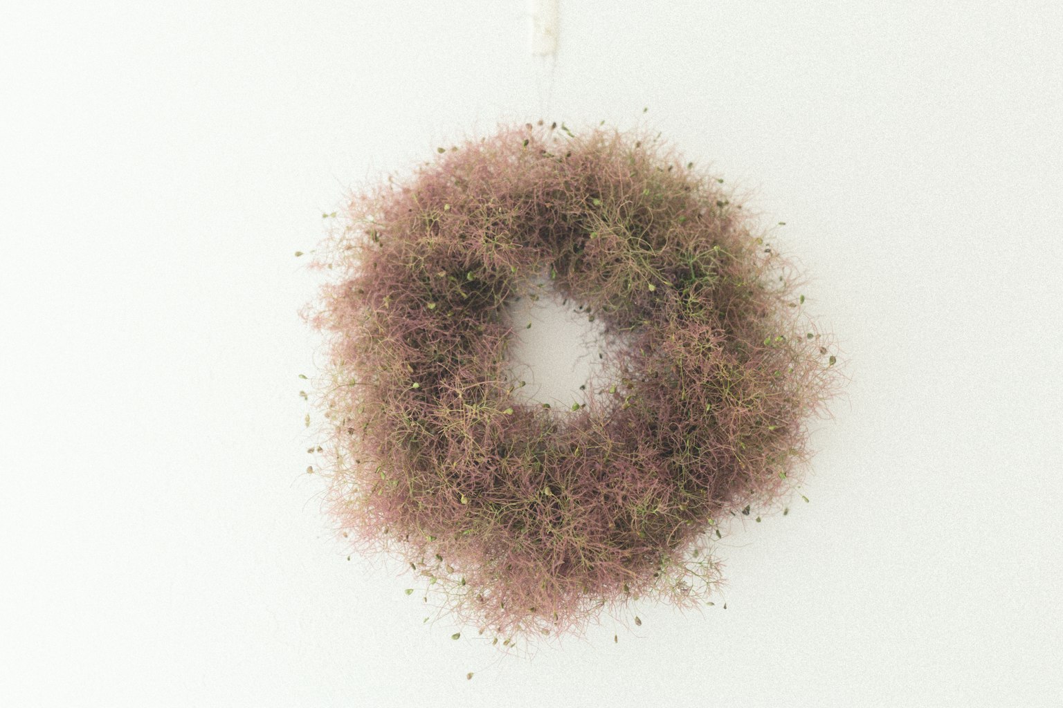 A soft-colored dried flower wreath hanging on a wall