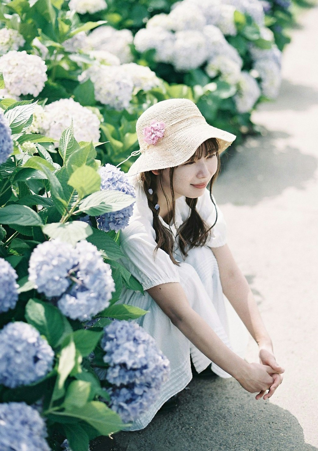 アジサイの花畑で帽子をかぶった女性