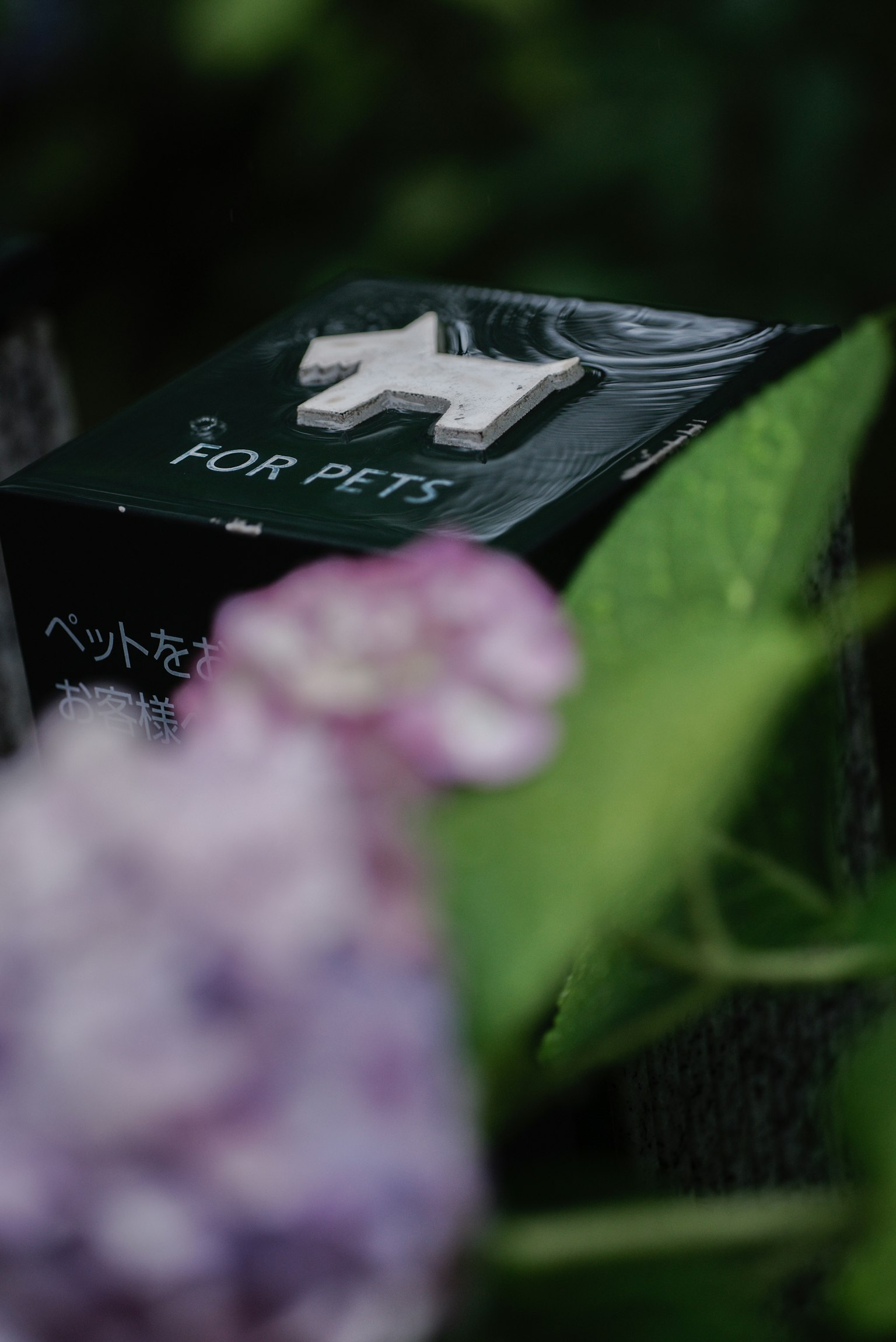 Ein kleines weißes Hundesymbol auf einer Box für Haustiere mit verschwommenen lila Blumen im Hintergrund