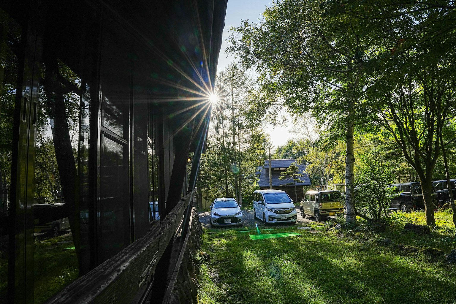 Sonnenlicht, das durch Bäume in einem grünen Garten mit geparkten Autos scheint