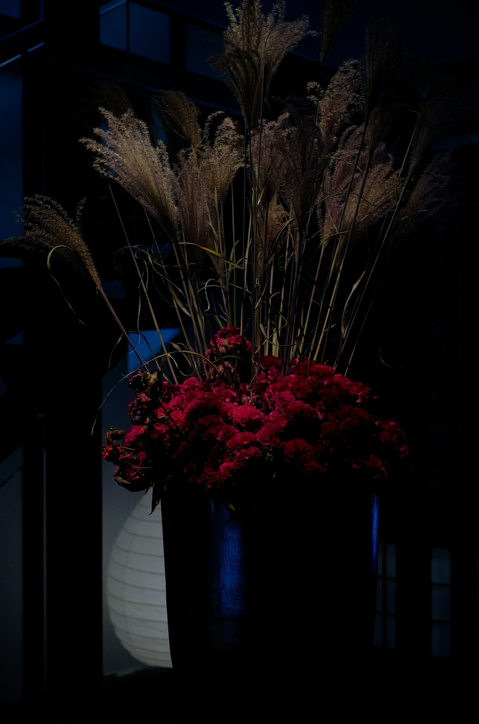 A dark background featuring an arrangement of red flowers and dried grass