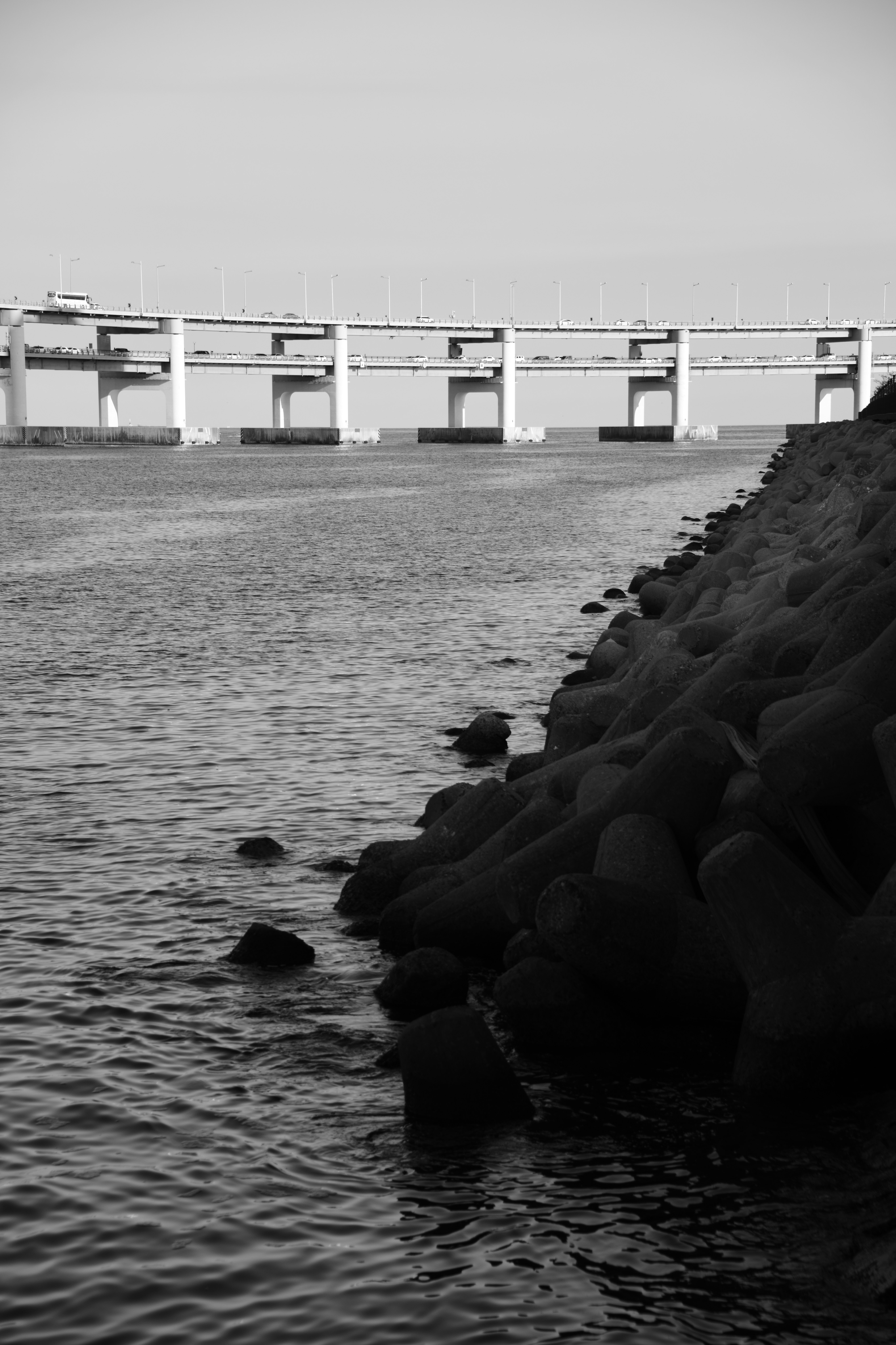 海沿いのテトラポッドと橋脚の規則的な並び