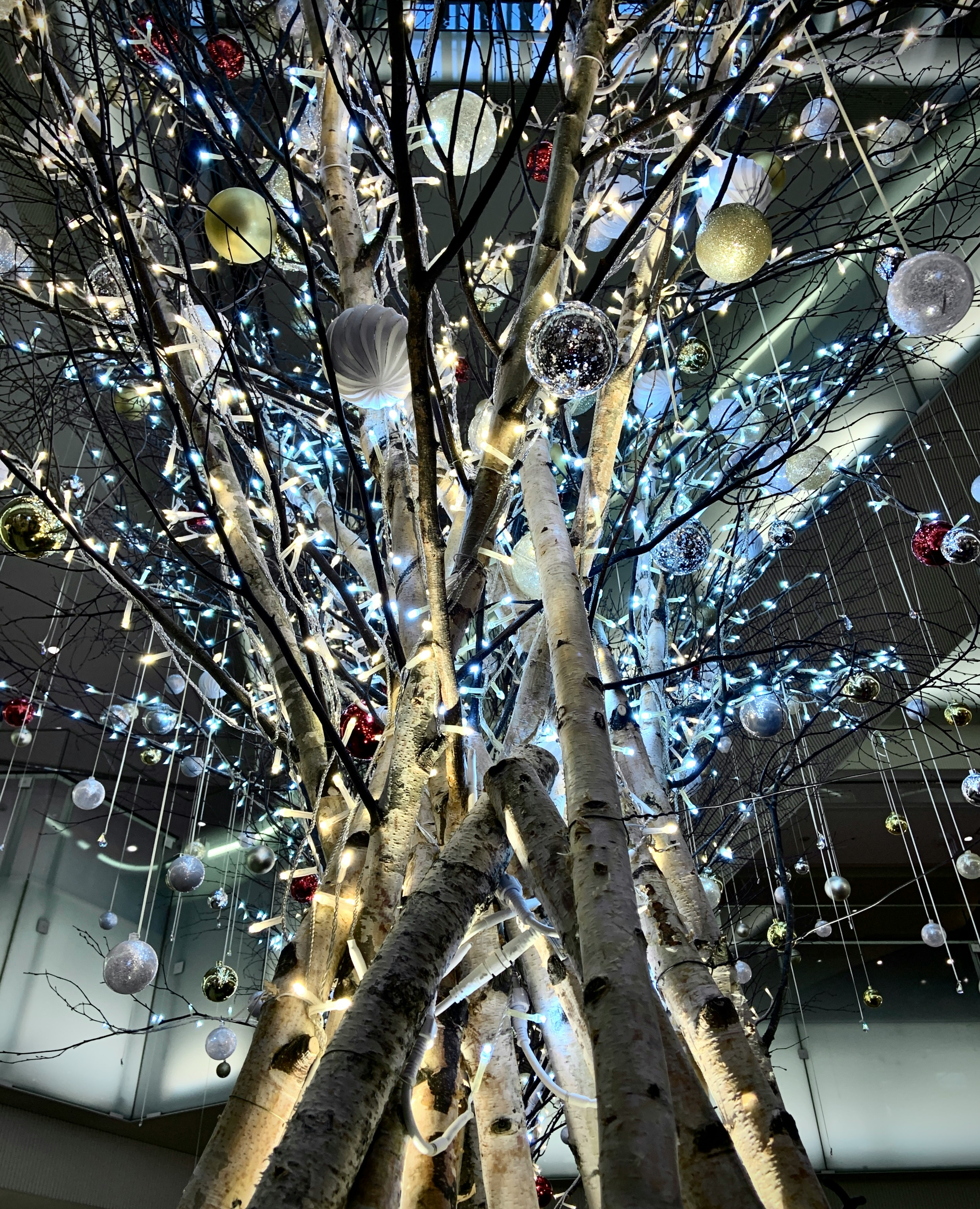 indoor tree-like installation with hanging glass balls and bare branches