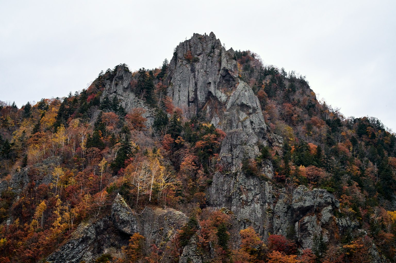photo-Farbkgni0H39ZyNaffr3-image