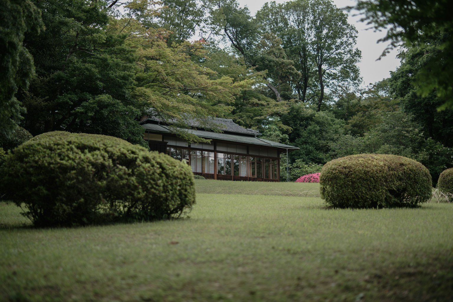 被綠色花園包圍的傳統日本房屋