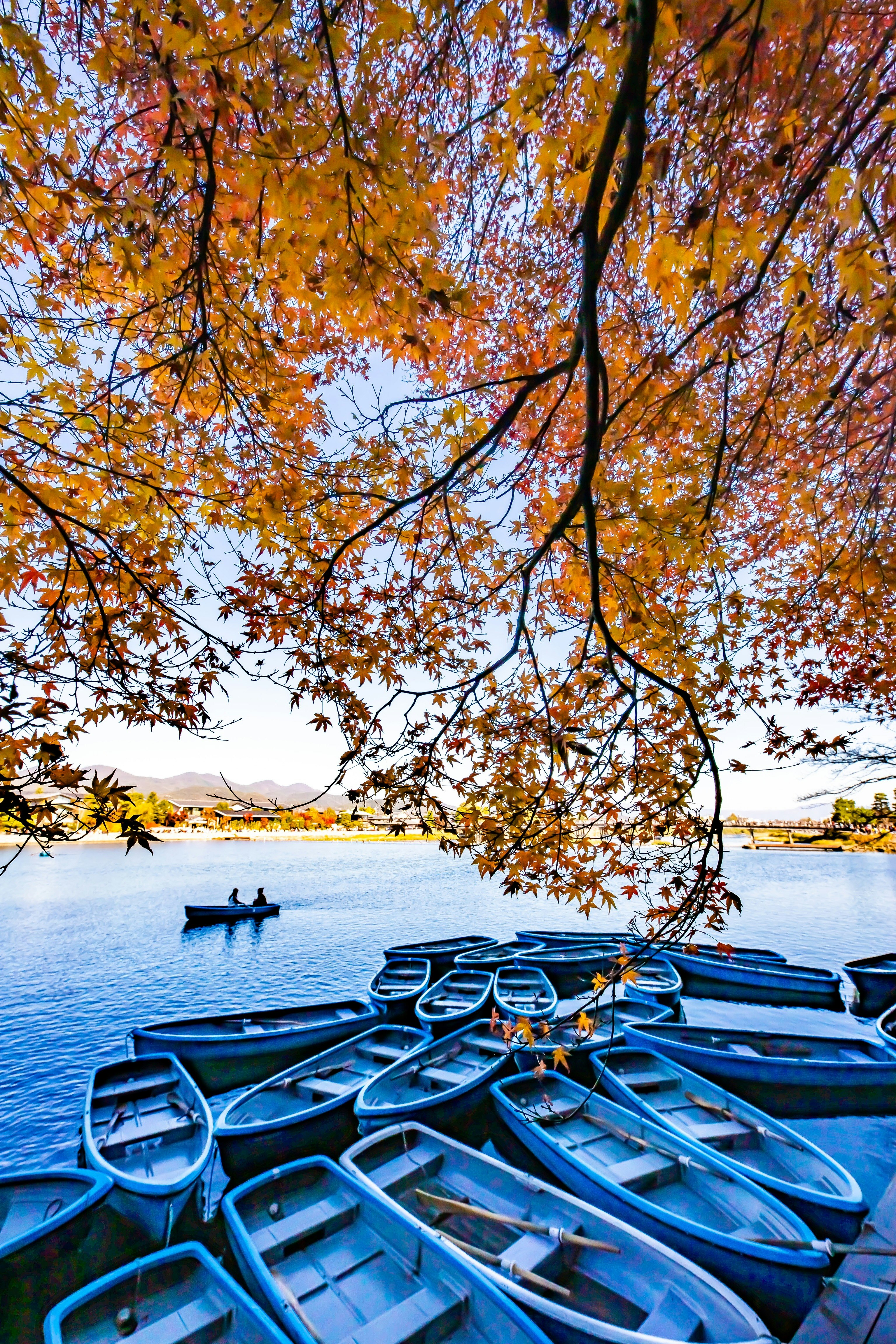 秋の嵐山で紅葉と並ぶ小舟のある川辺