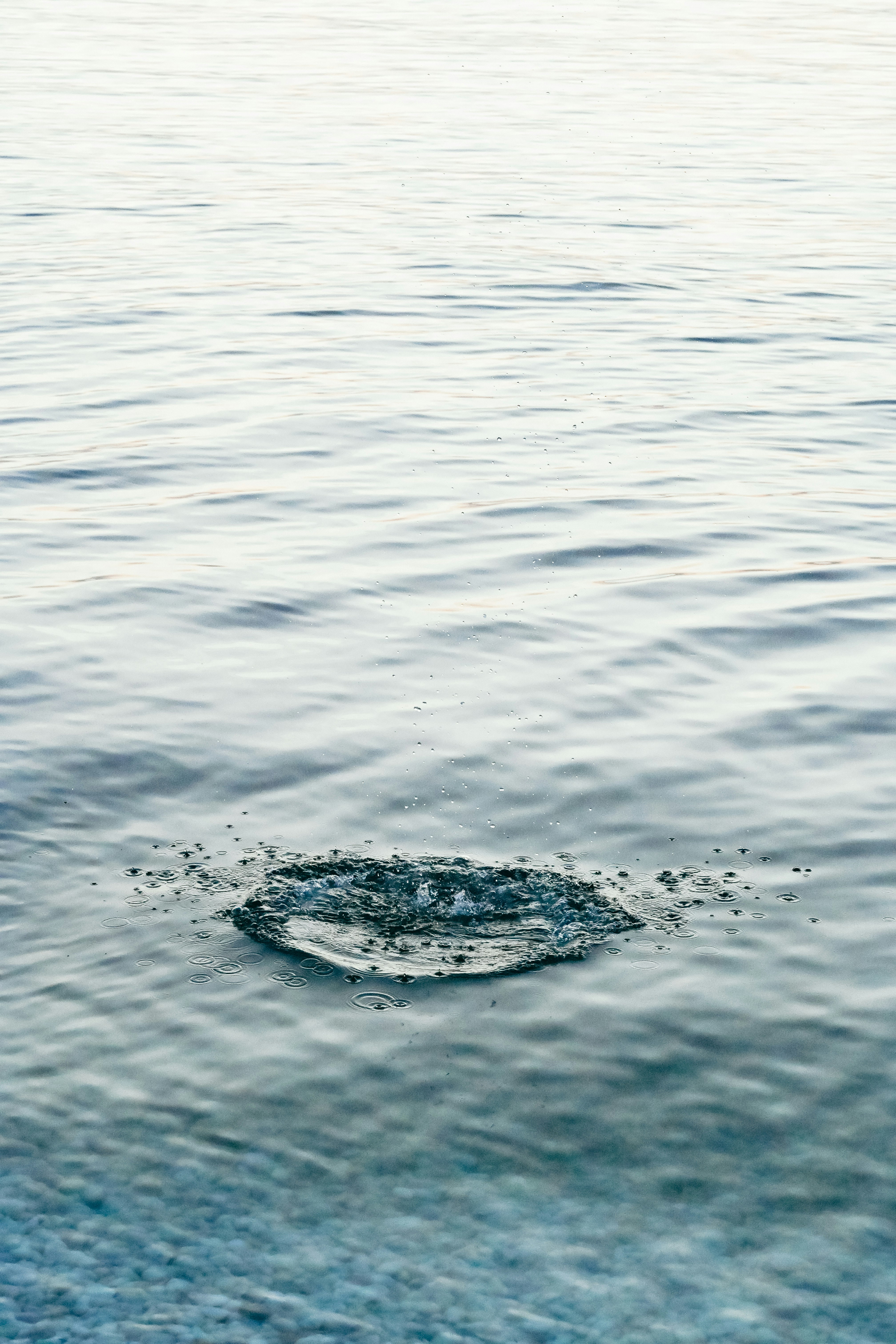 surface de l’océan avec une petite silhouette de dauphin dans les vagues