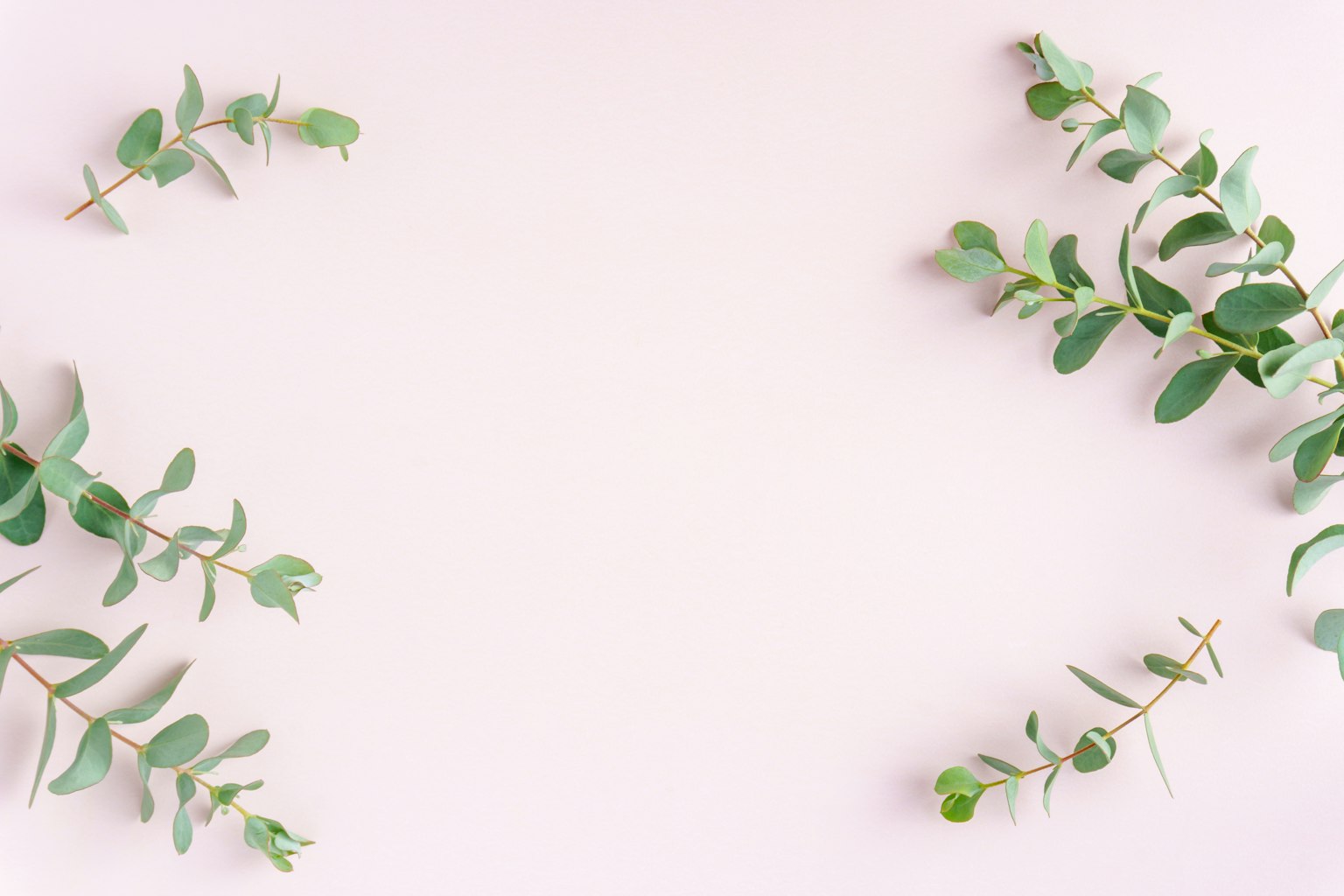 Hojas verdes dispuestas sobre un fondo rosa suave
