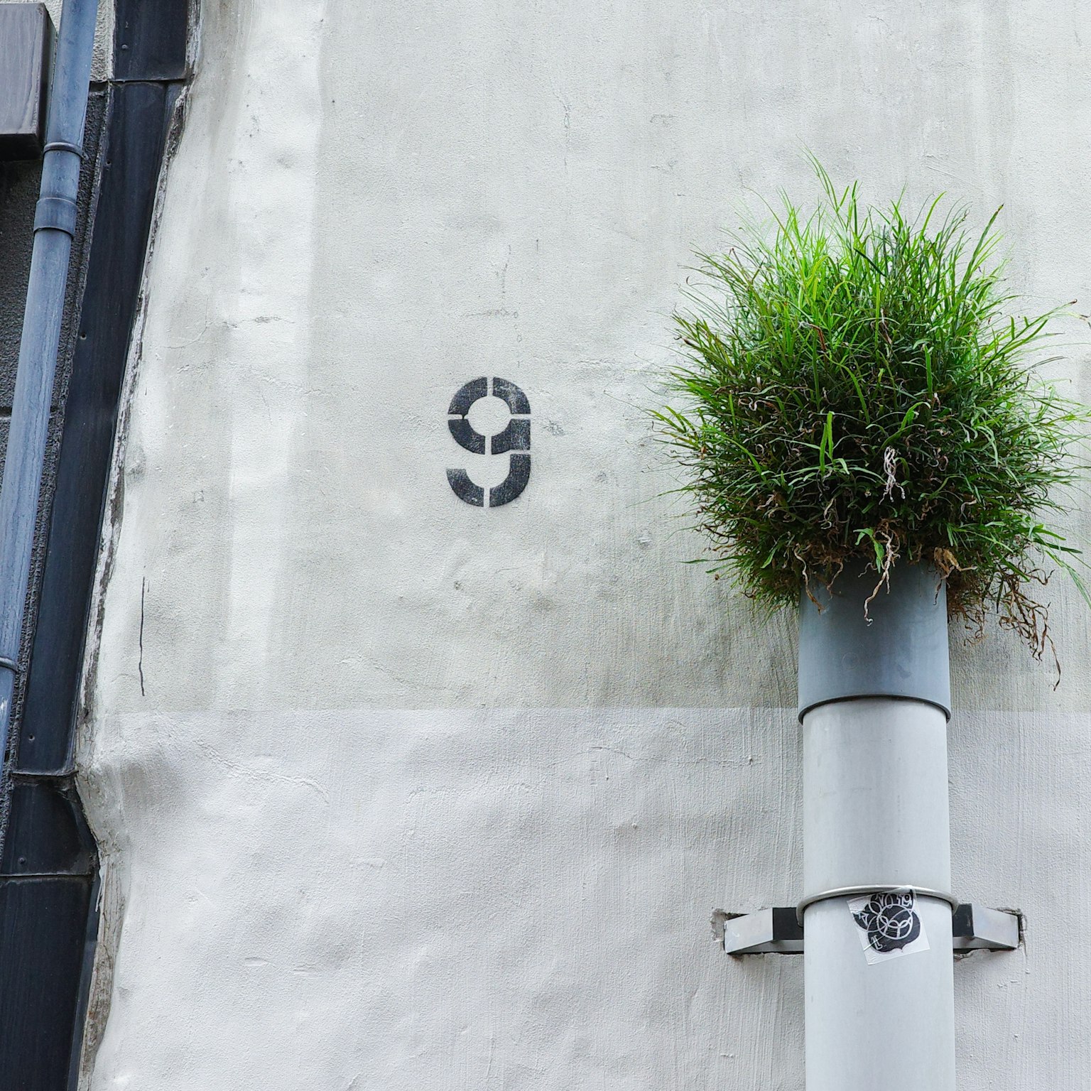 Número 9 pintado en una pared con hierba verde creciendo de una tubería