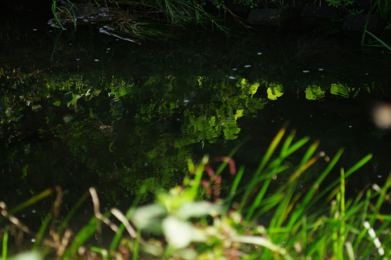 photo-FcA0XHLgJi55r2LKrMW9-image