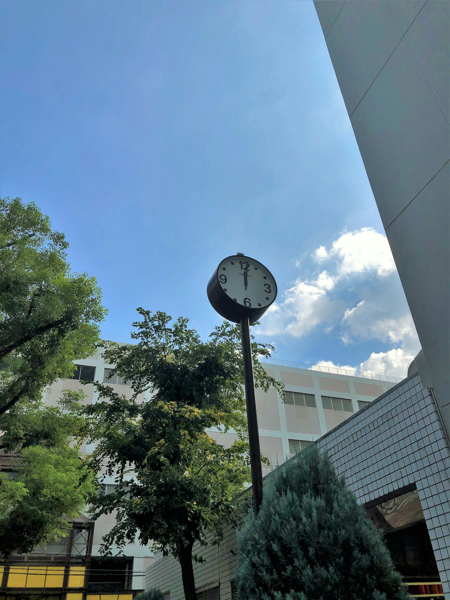 藍天下的時鐘和附近的樹木