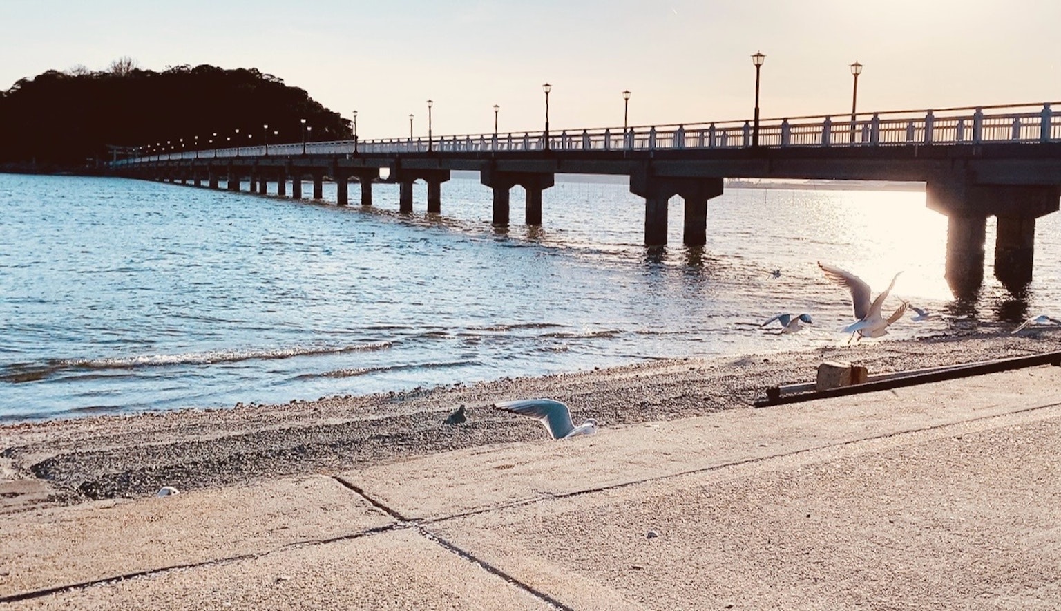 延伸至海洋的碼頭，柔和的波浪和飛翔的鳥類