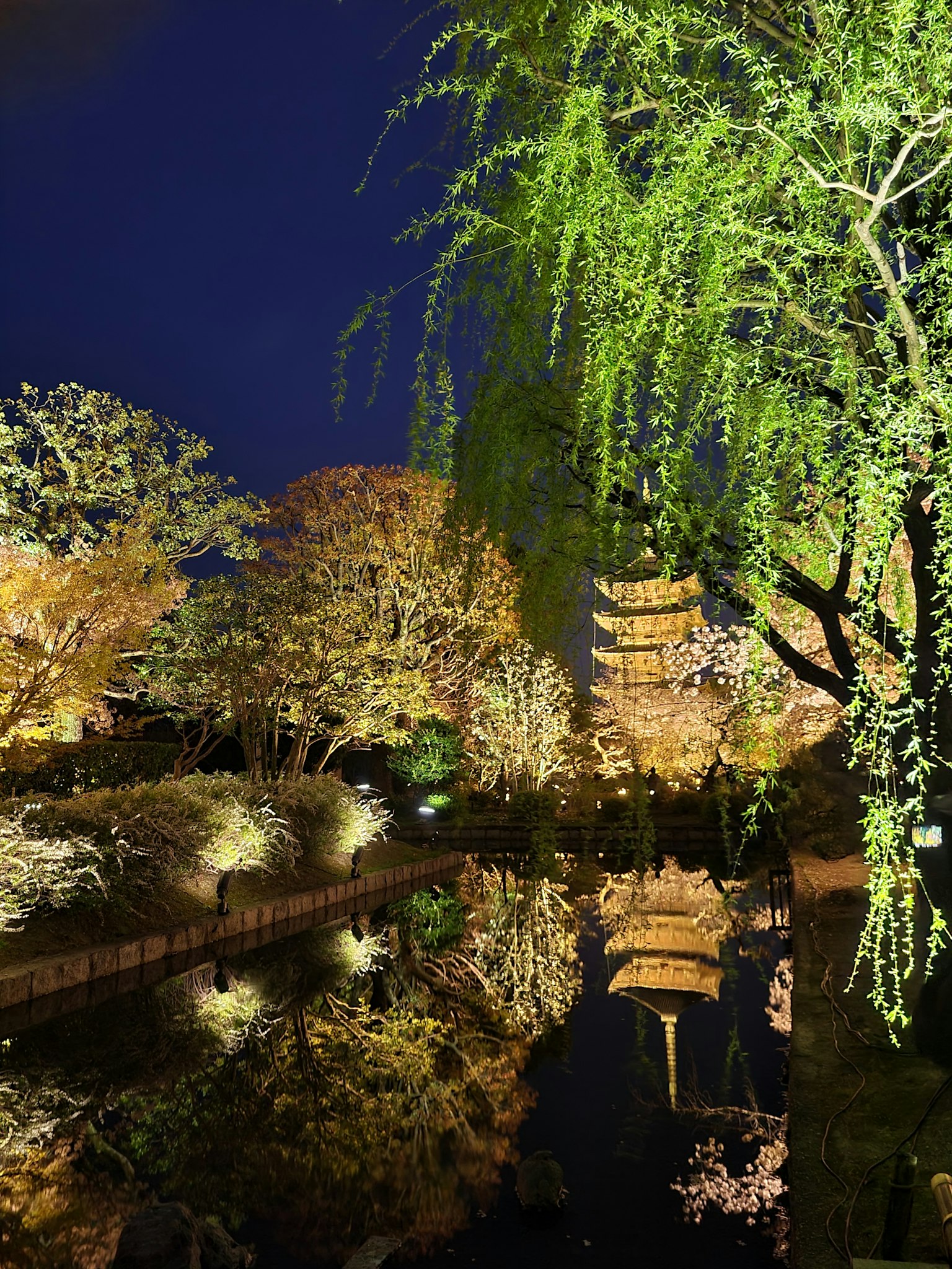ทิวทัศน์ยามค่ำคืนของสวนญี่ปุ่นที่มีเจดีย์และต้นไม้สวยงามสะท้อนอยู่ในน้ำ