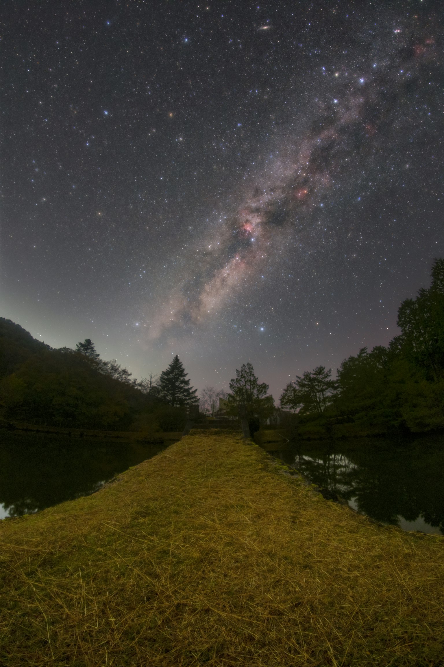 星空下草地和水面的風景