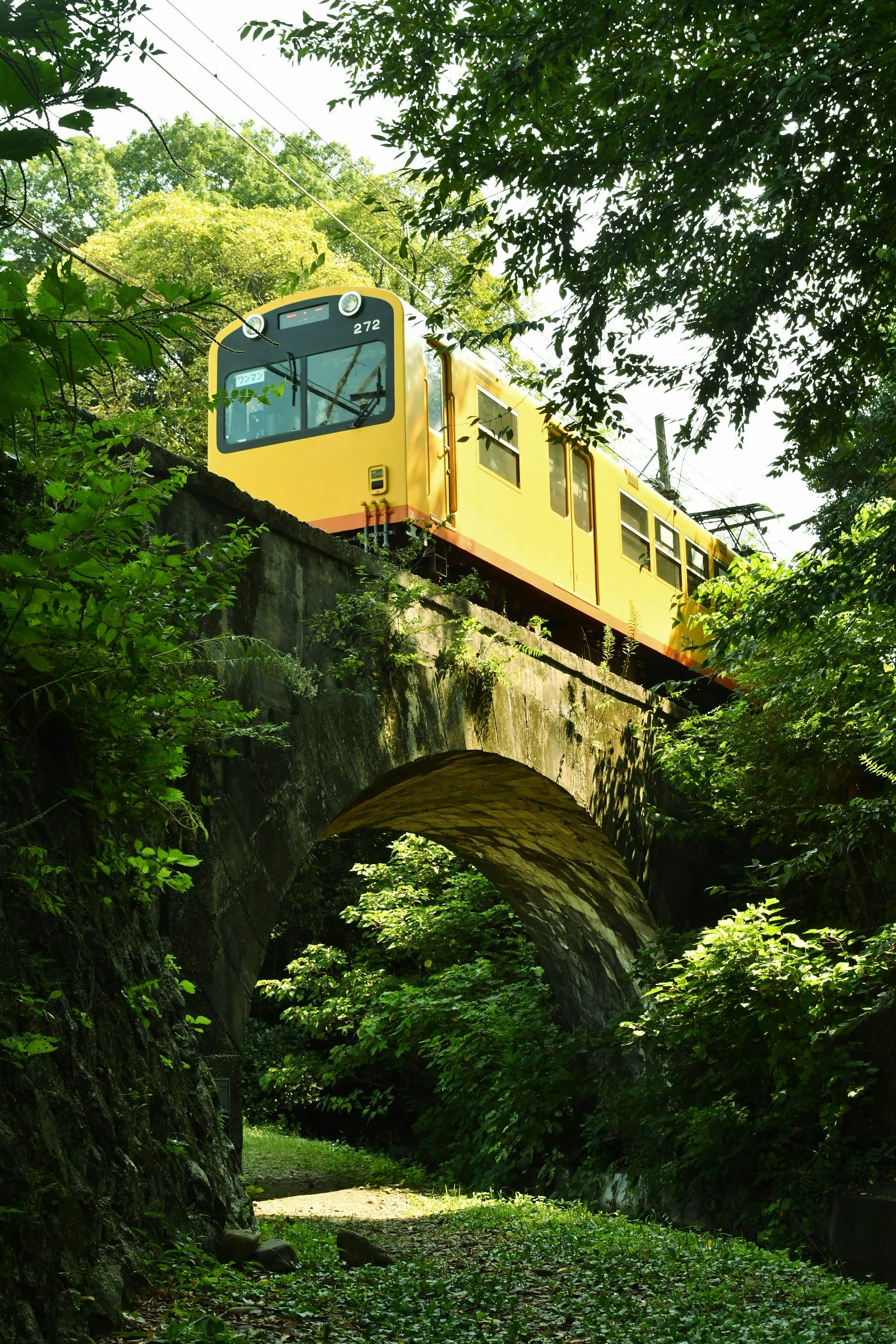 三岐鉄道北勢線の車両がねじり橋を渡る緑の風景