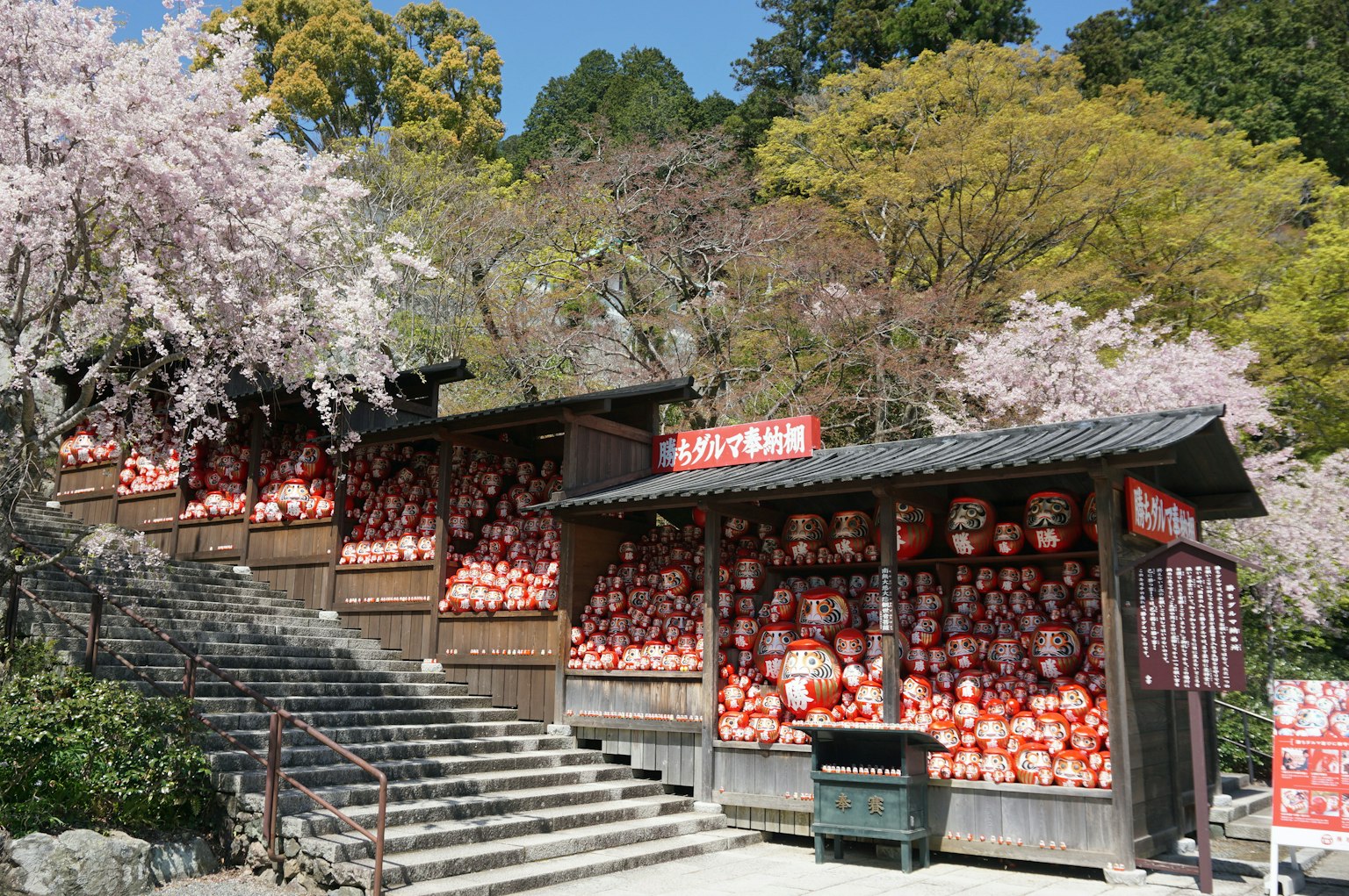 Traditional Japanese buildings surrounded by cherry blossom trees and lanterns