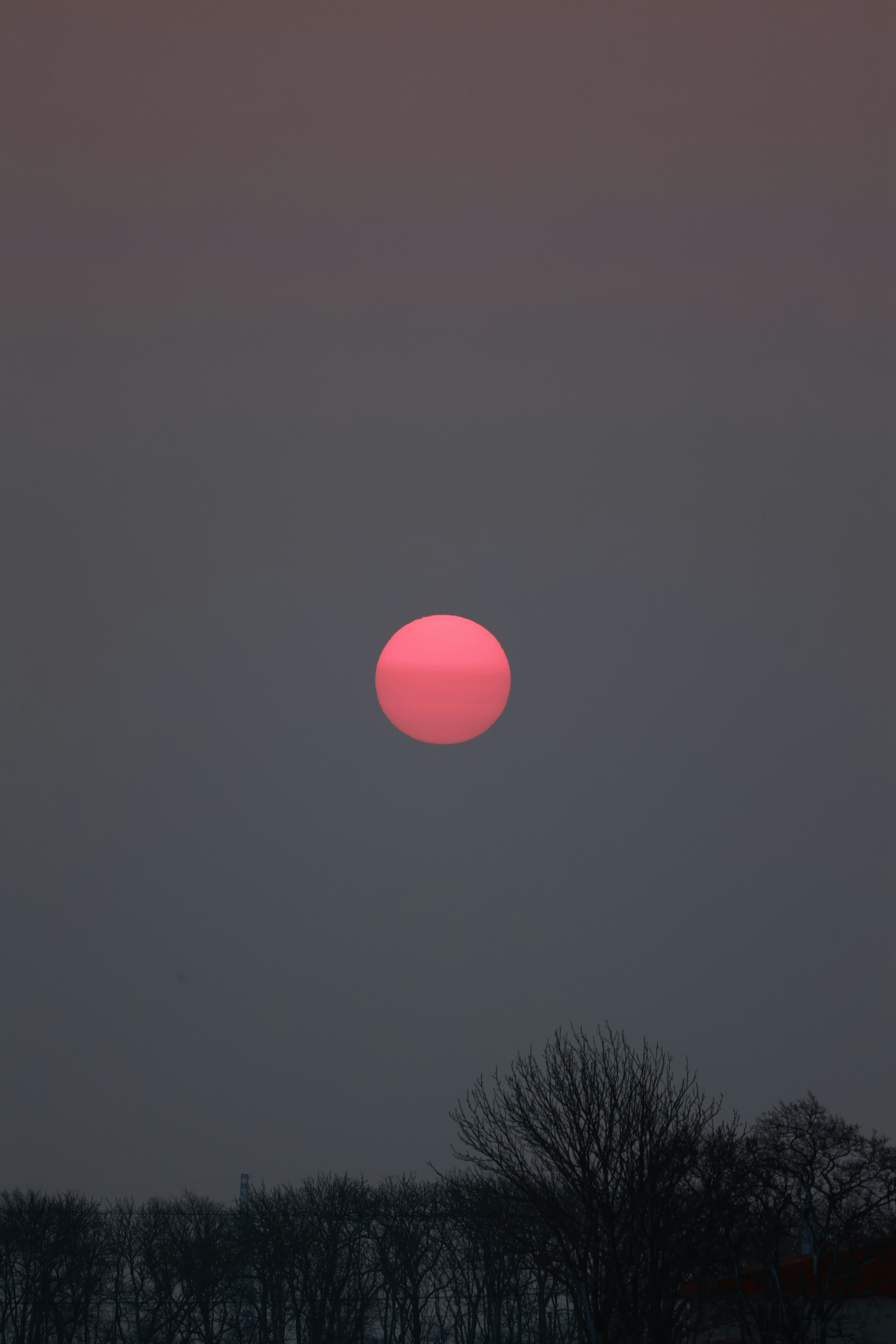 alba rossa nel cielo del crepuscolo con sagome di alberi
