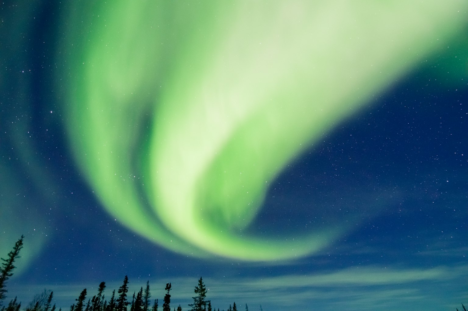 Superbes lumières aurorales tourbillonnant dans le ciel nocturne avec des teintes vertes vibrantes