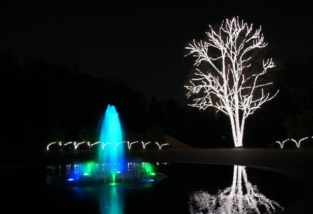 クリスマスイルミネーションの噴水とライトアップされた木のある夜の庭園
