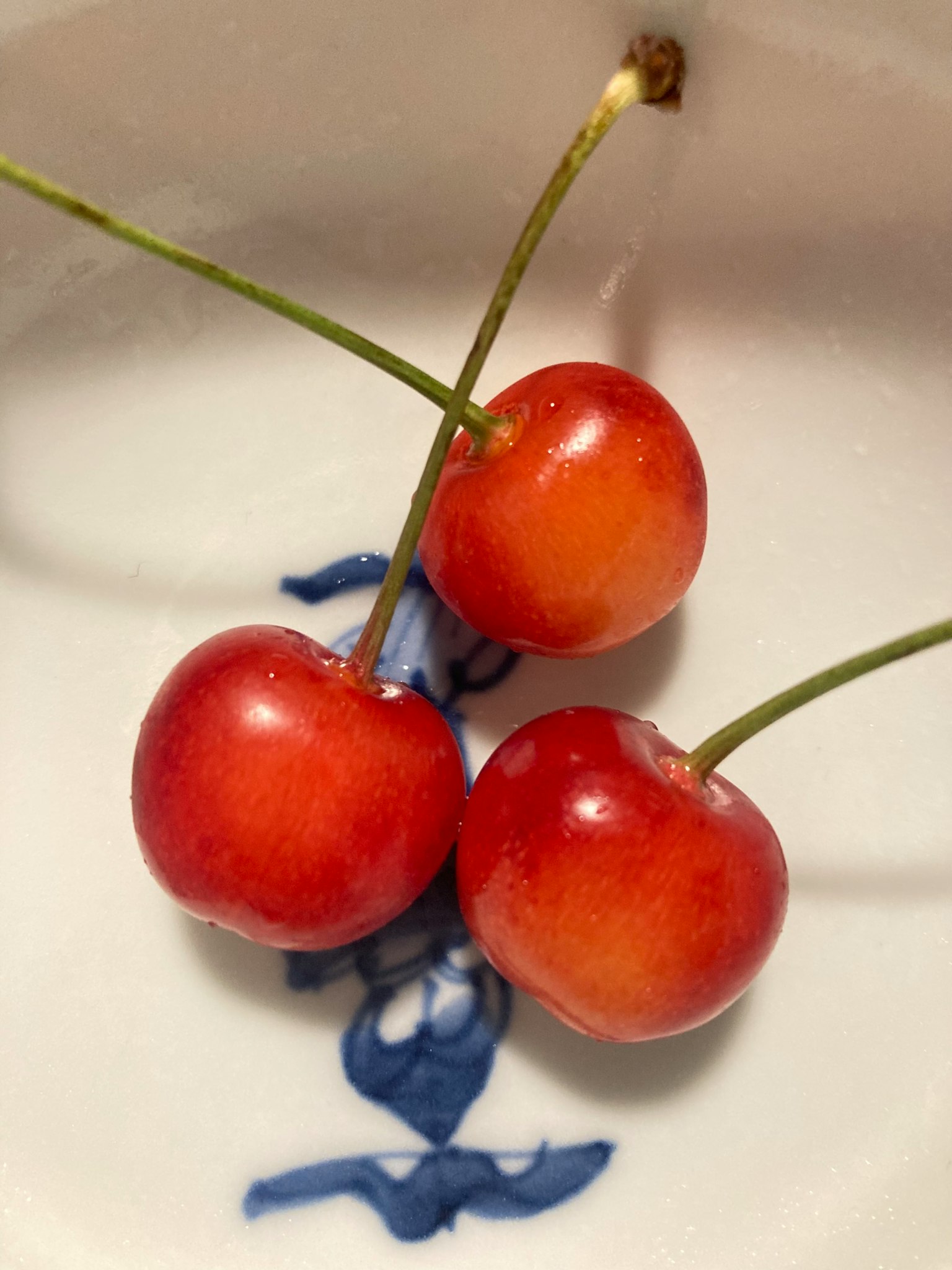 photo-FebO7ecYB66GeeXHYM55-image