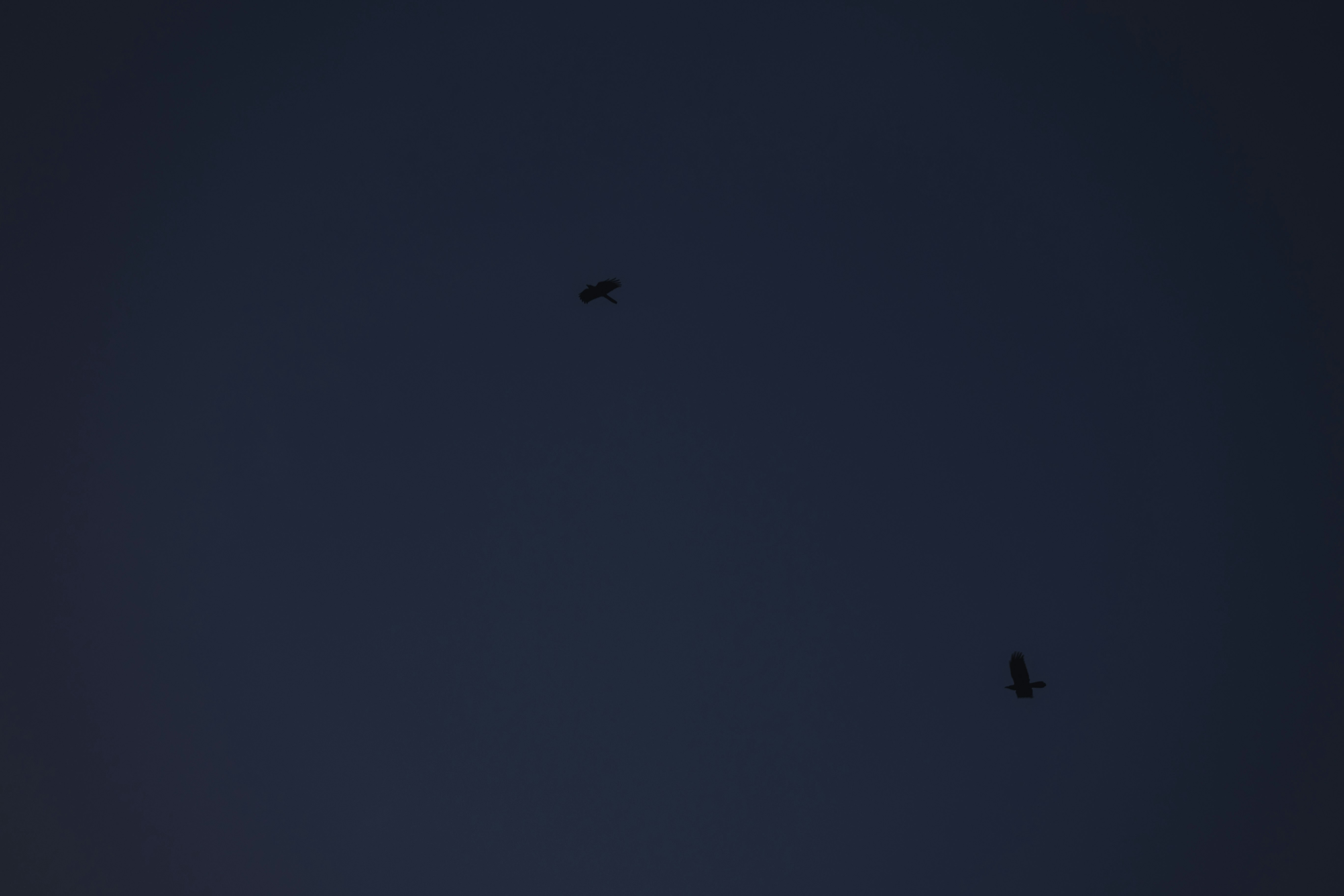 夜空に小さな飛行機が点在する風景