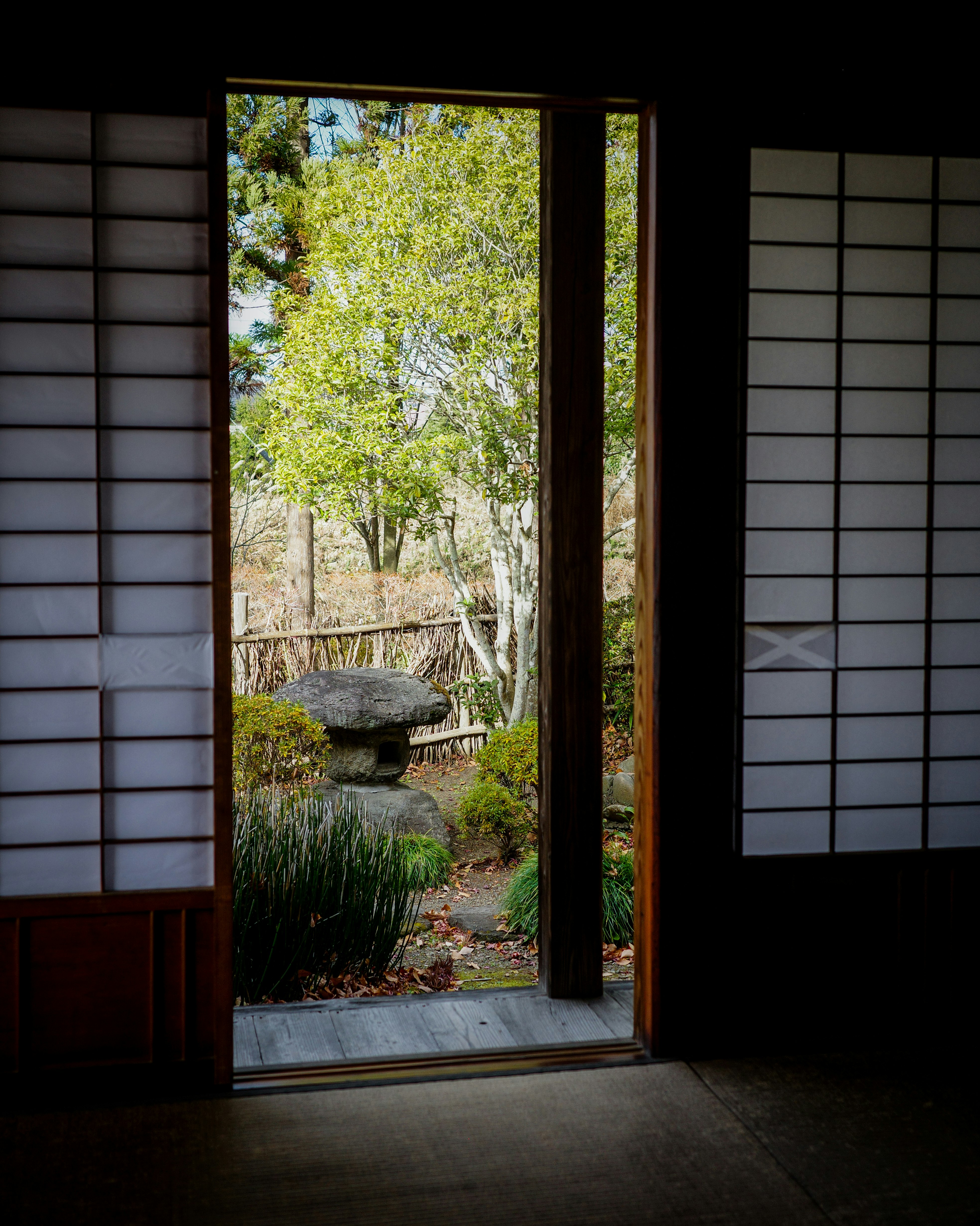 Vista di un cortile con una lanterna in pietra e vegetazione attraverso uno shoji aperto