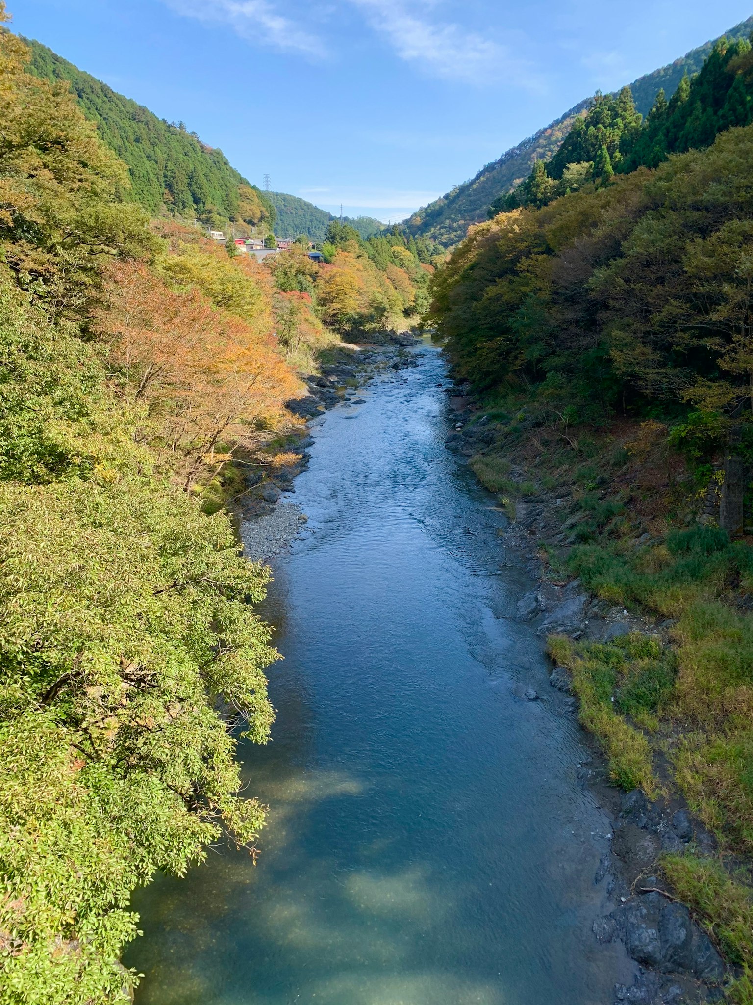 寧靜的河流風景，周圍環繞著五彩斑斕的樹木