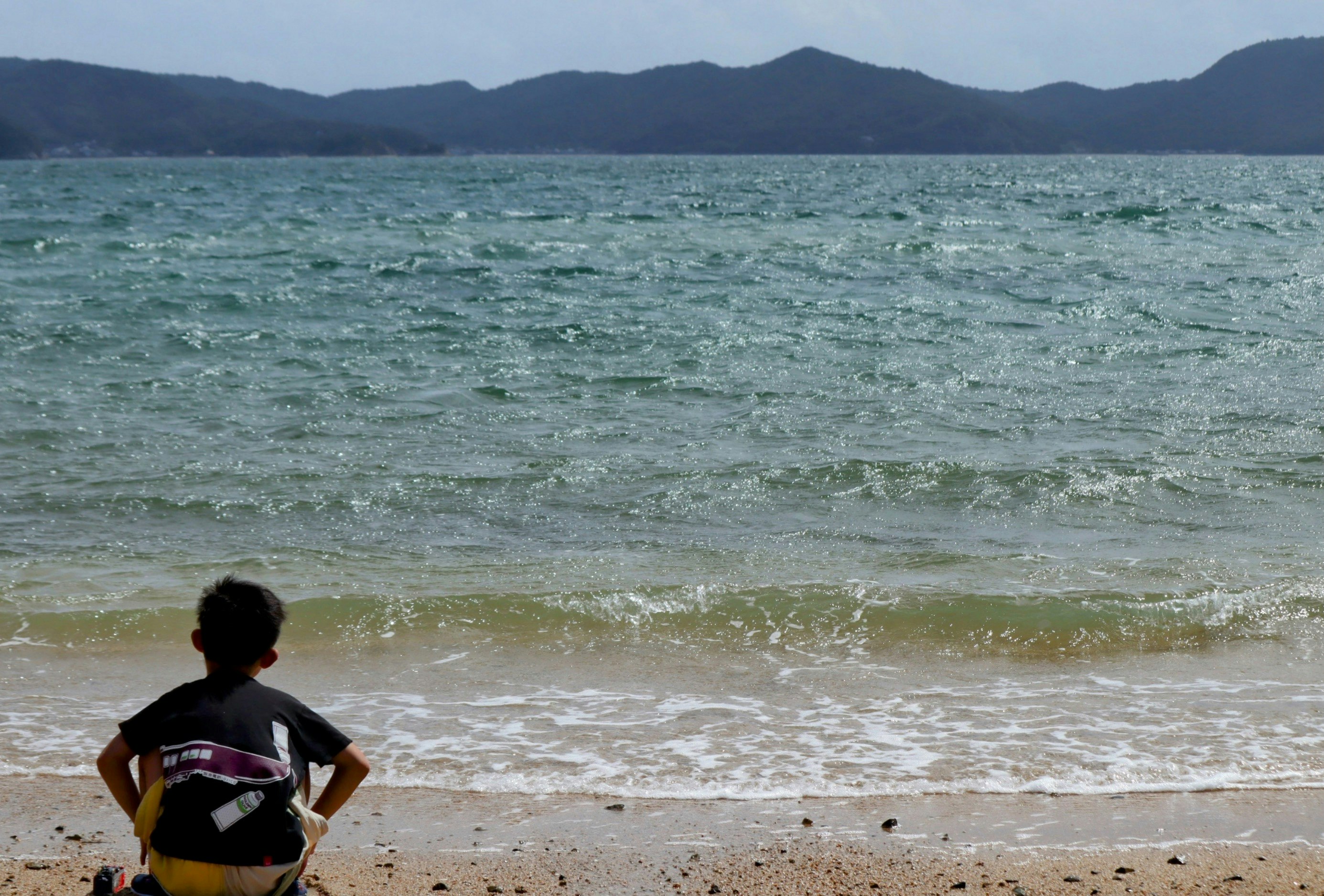 personne regardant la mer avec des vagues sur le rivage
