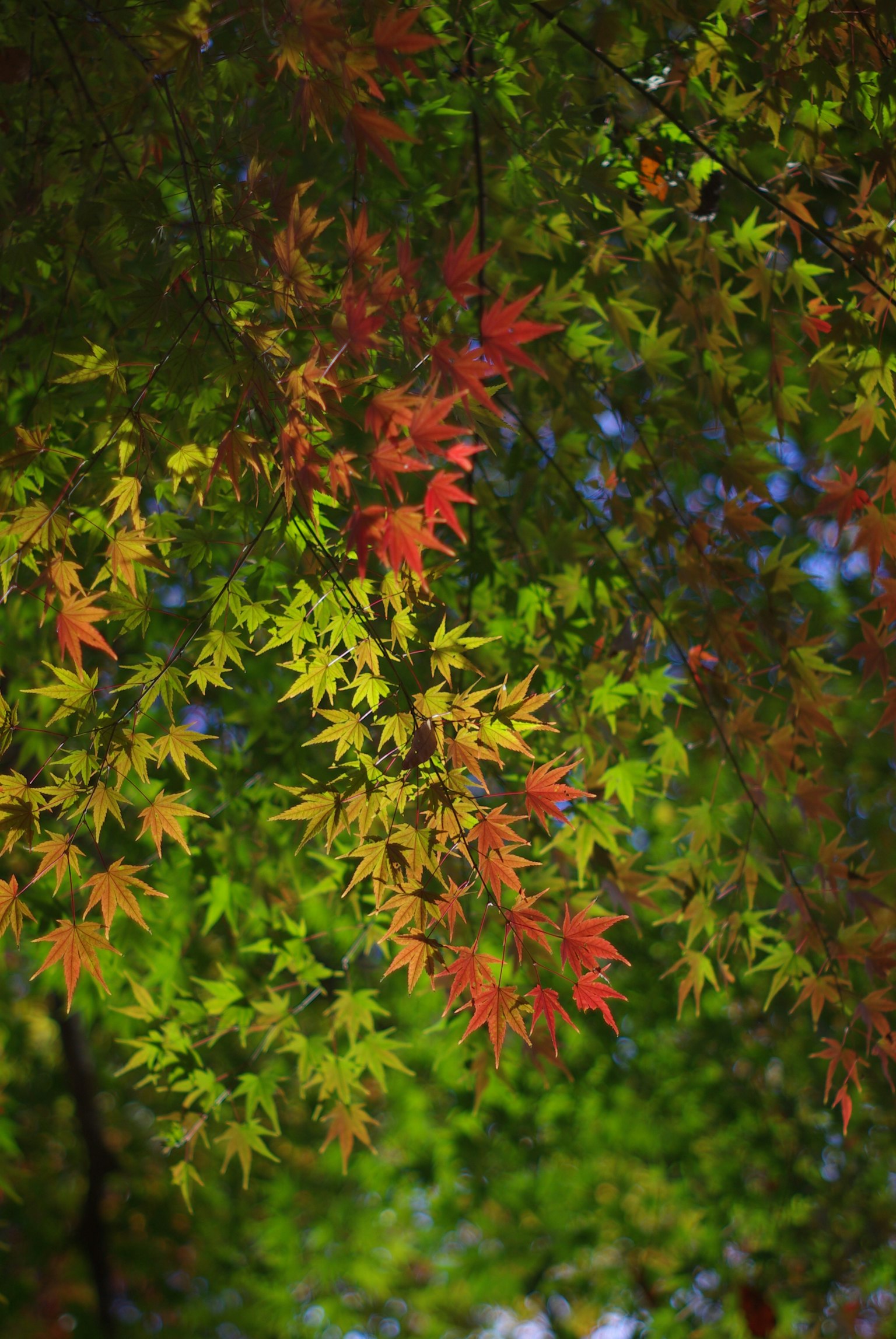 어두운 배경에 단순한 회색 사각형