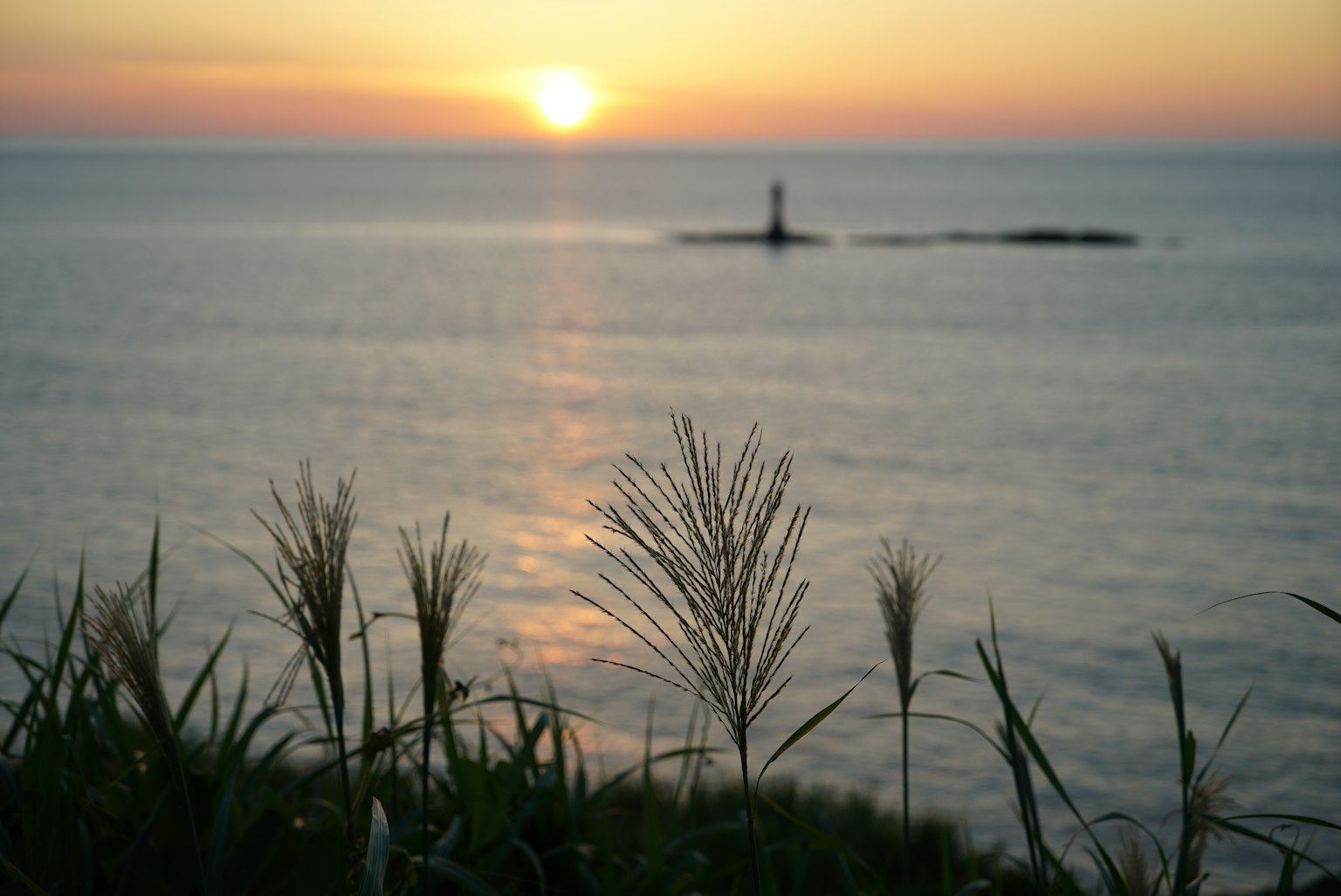 Tramonto sull'oceano con un faro in lontananza e erba in primo piano