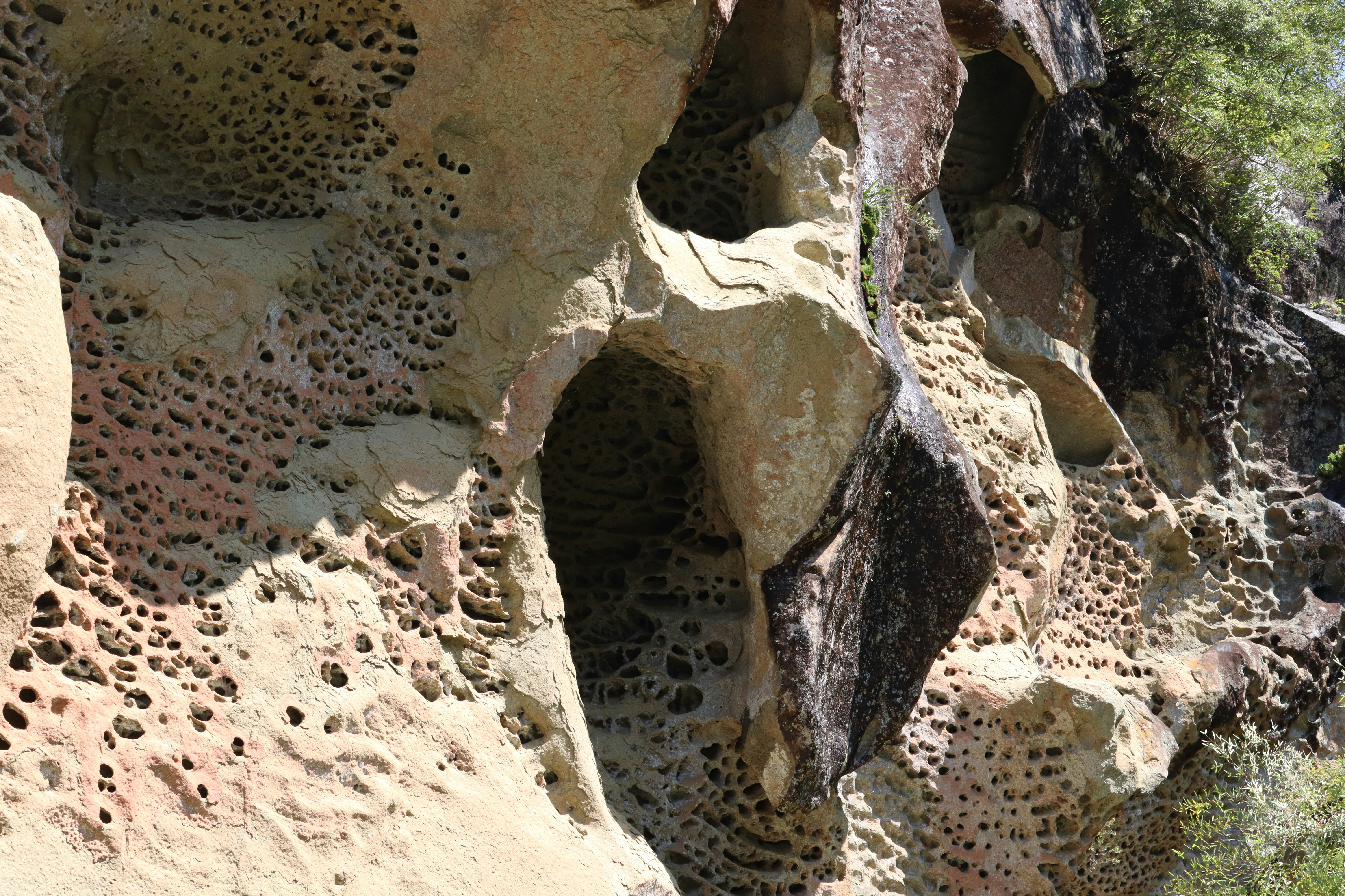 eroded rock cliff with cave-like openings