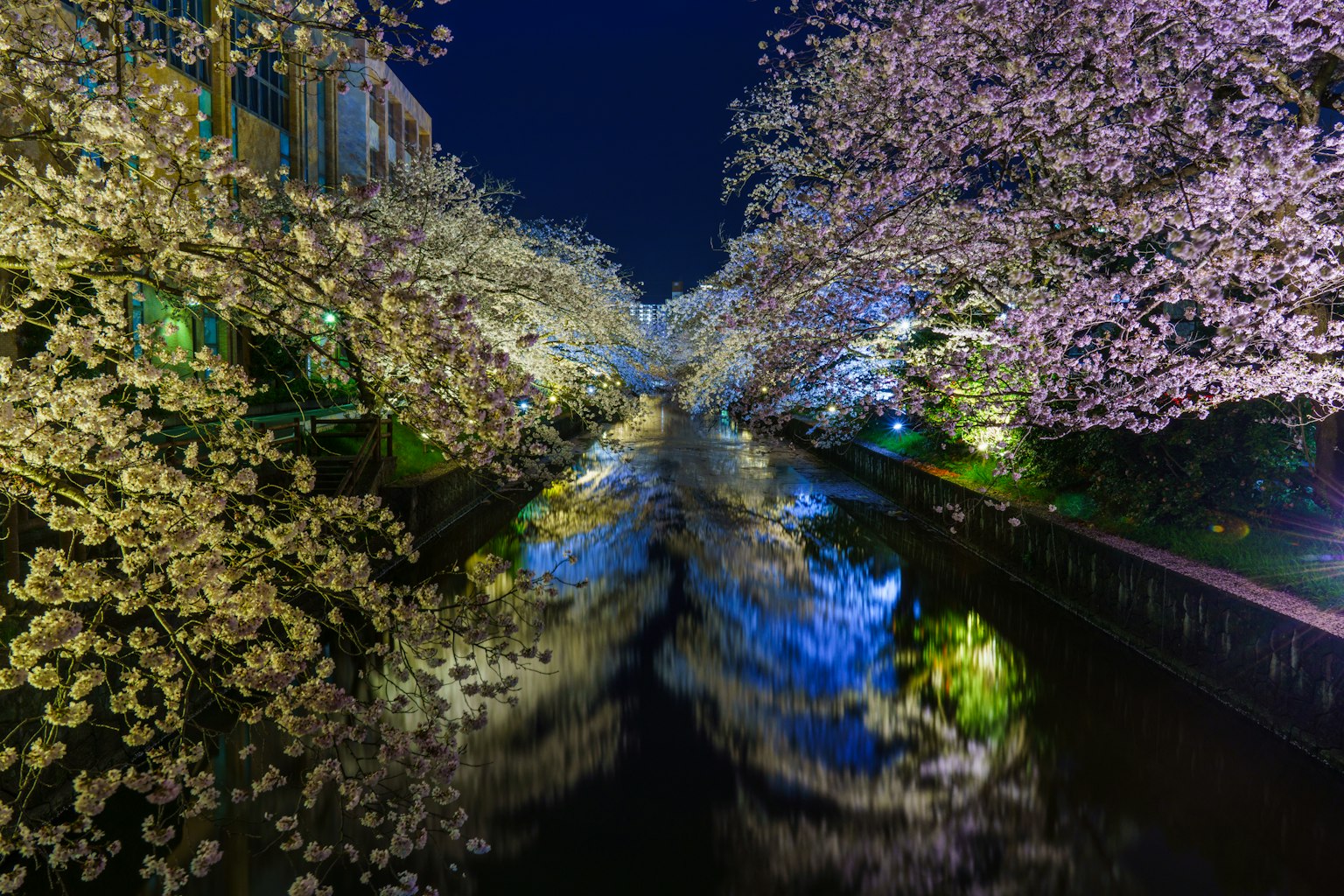 photo-FgNsZWA7emDI6A6nCJ1O-image