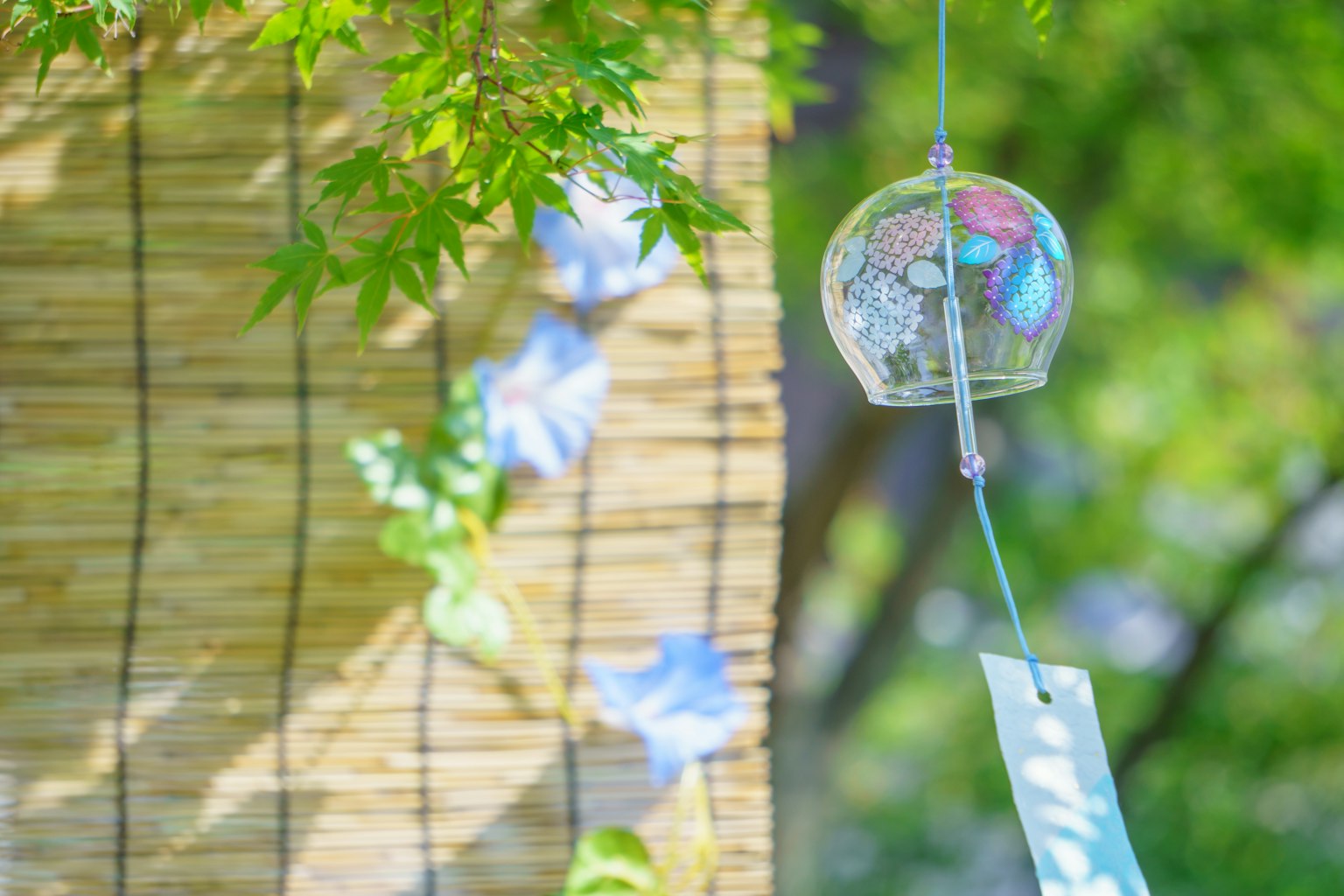 Cảnh mùa hè với chuông gió và hoa bìm bìm