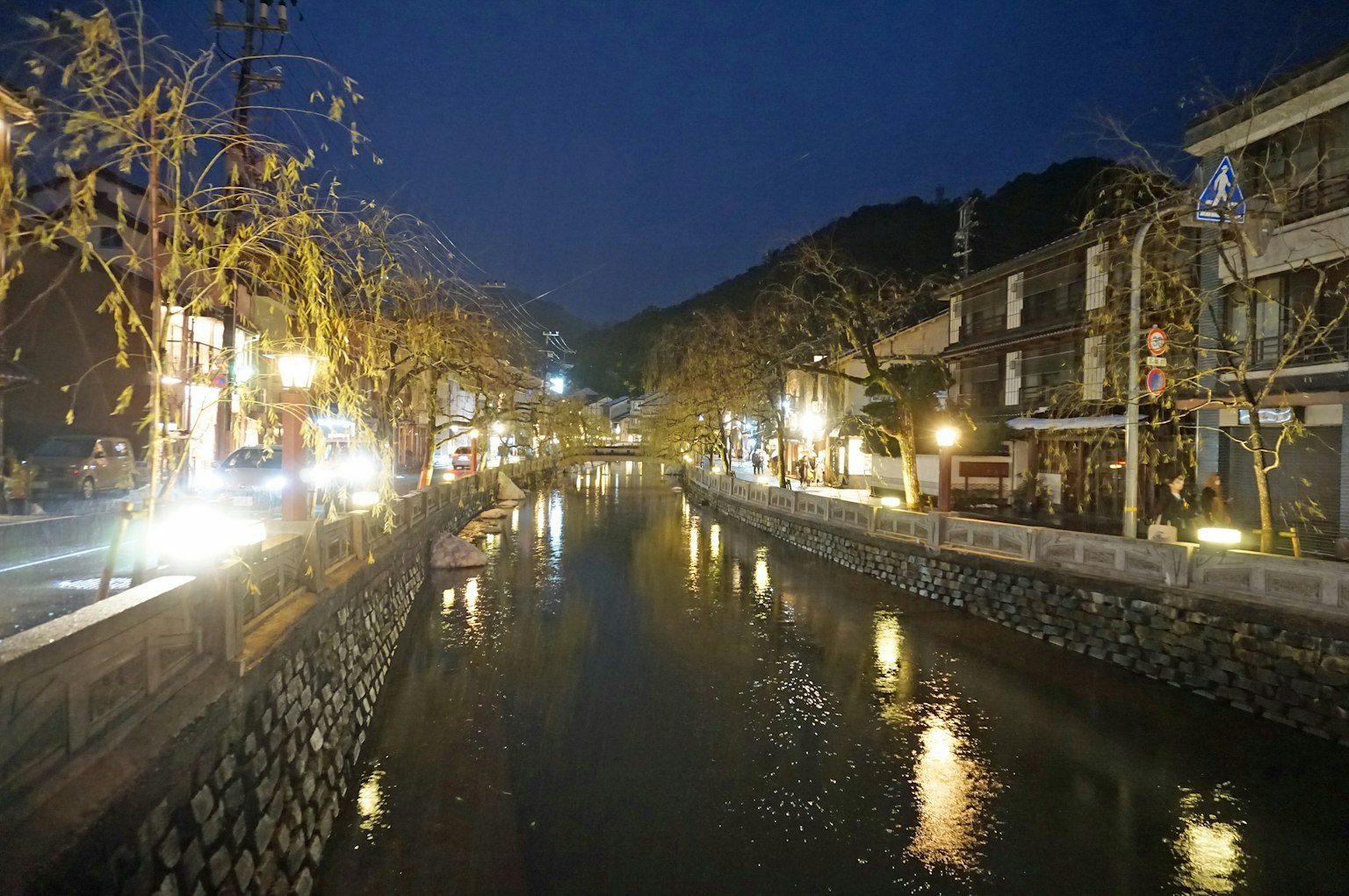 夜晚河流的景色，樹木和照亮的建築
