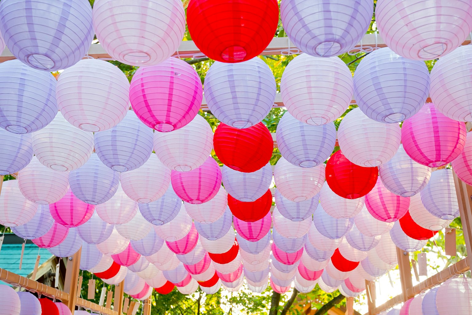 Đèn lồng nhiều màu sắc treo trong trang trí ngoài trời