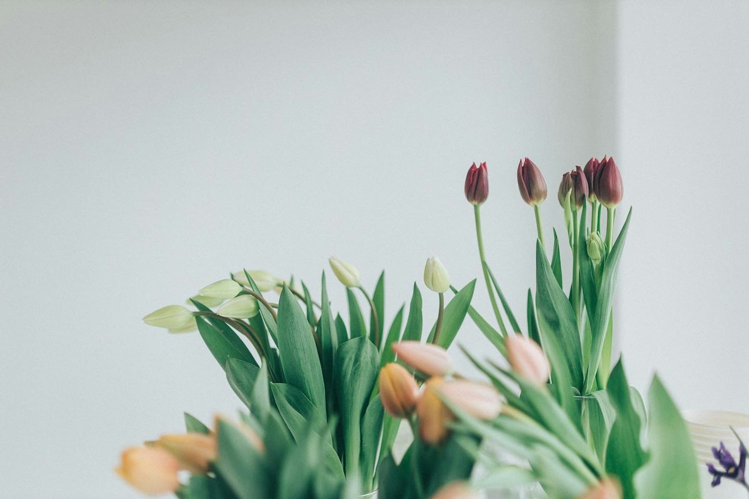 Un bouquet colorato di tulipani disposto su un tavolo