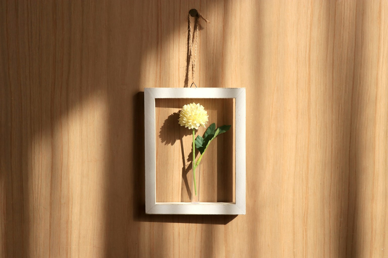 Un fiore giallo con foglie verdi esposto in una cornice bianca appesa a un muro di legno