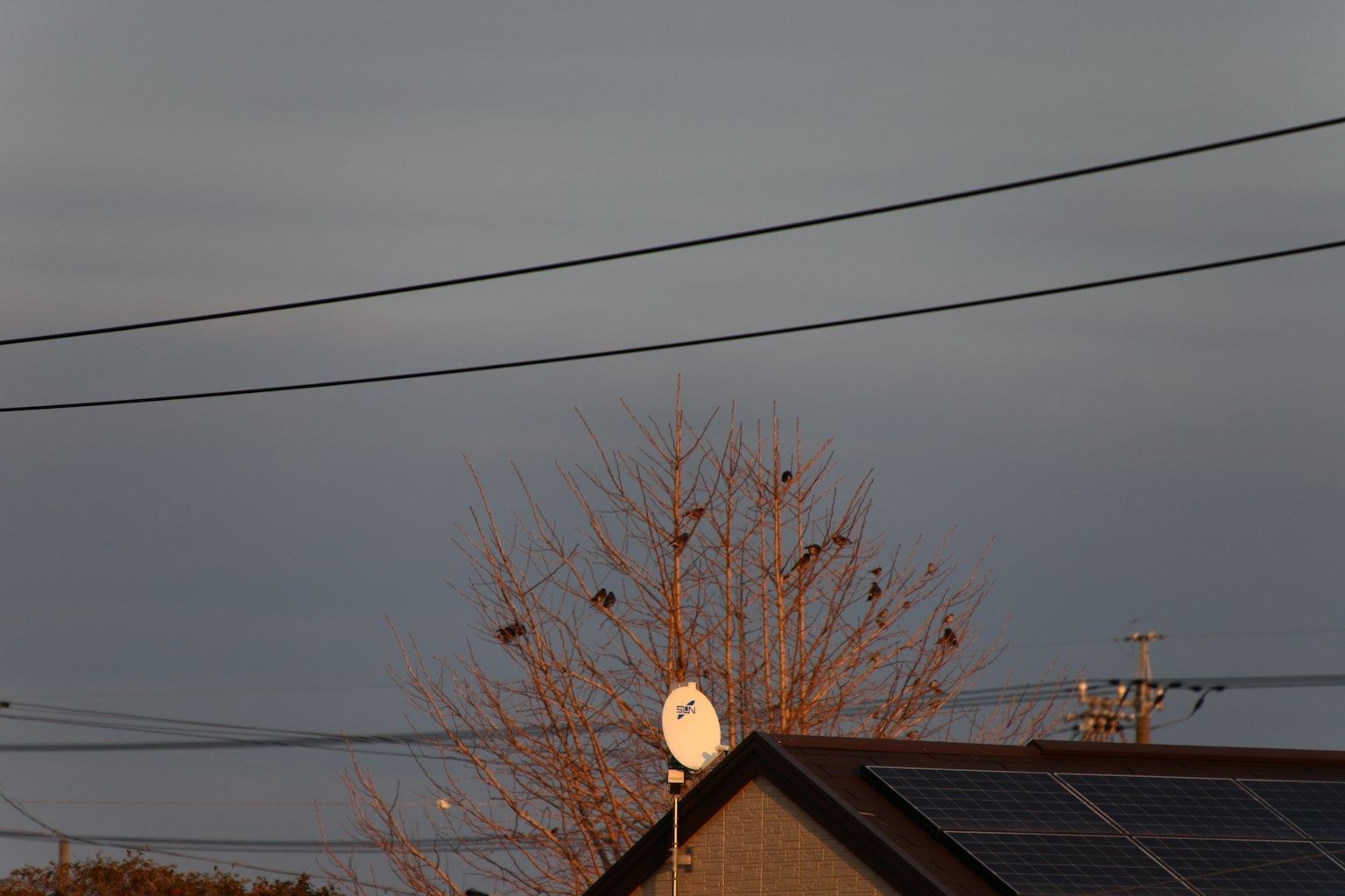Silhouette d'une maison et d'un arbre sous un ciel nuageux avec des lignes électriques et des panneaux solaires