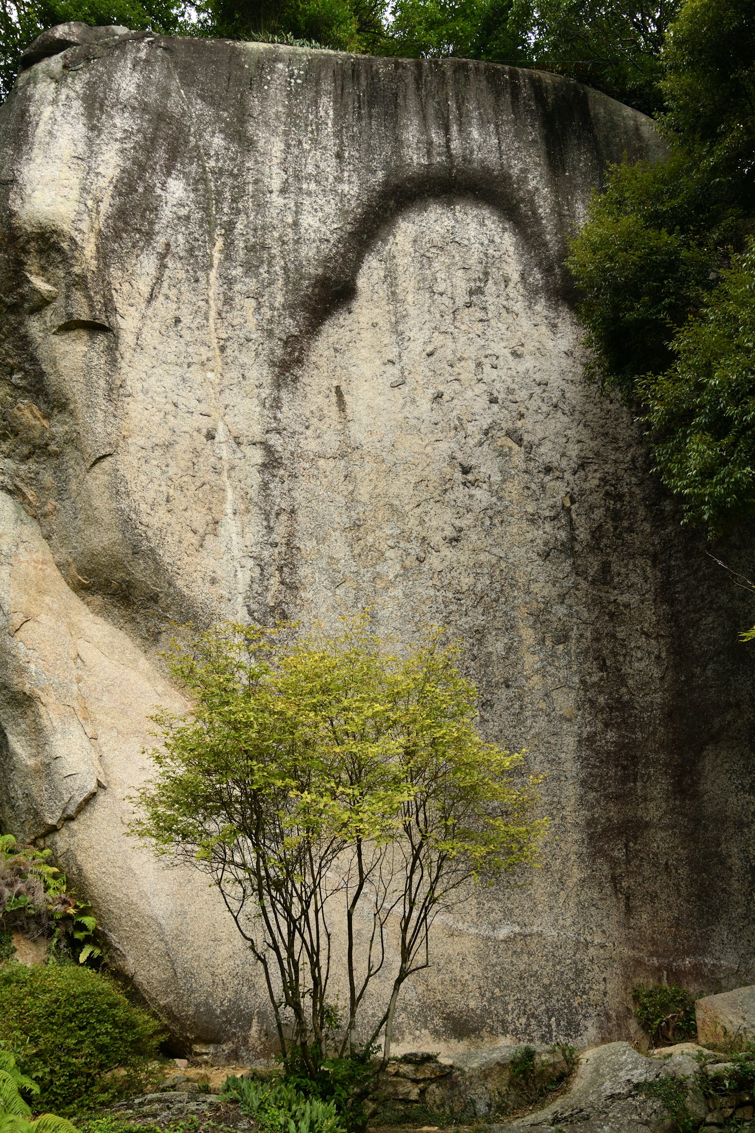 Gran roca con una forma distintiva y un pequeño árbol delante