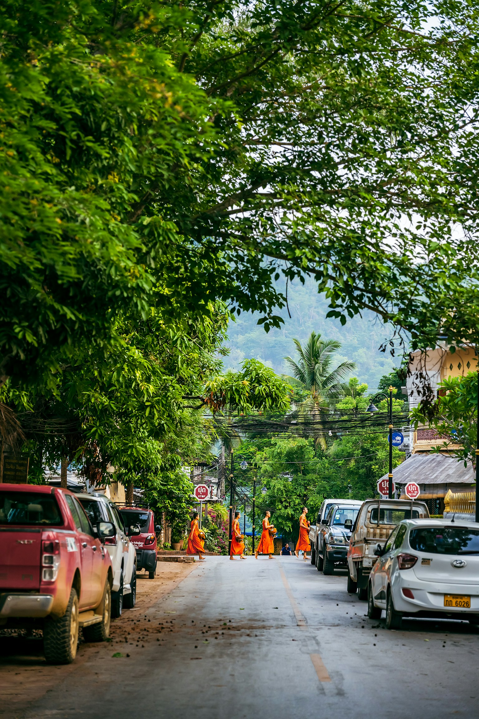 Jalan subur dengan mobil terparkir dan prosesi biksu Buddha