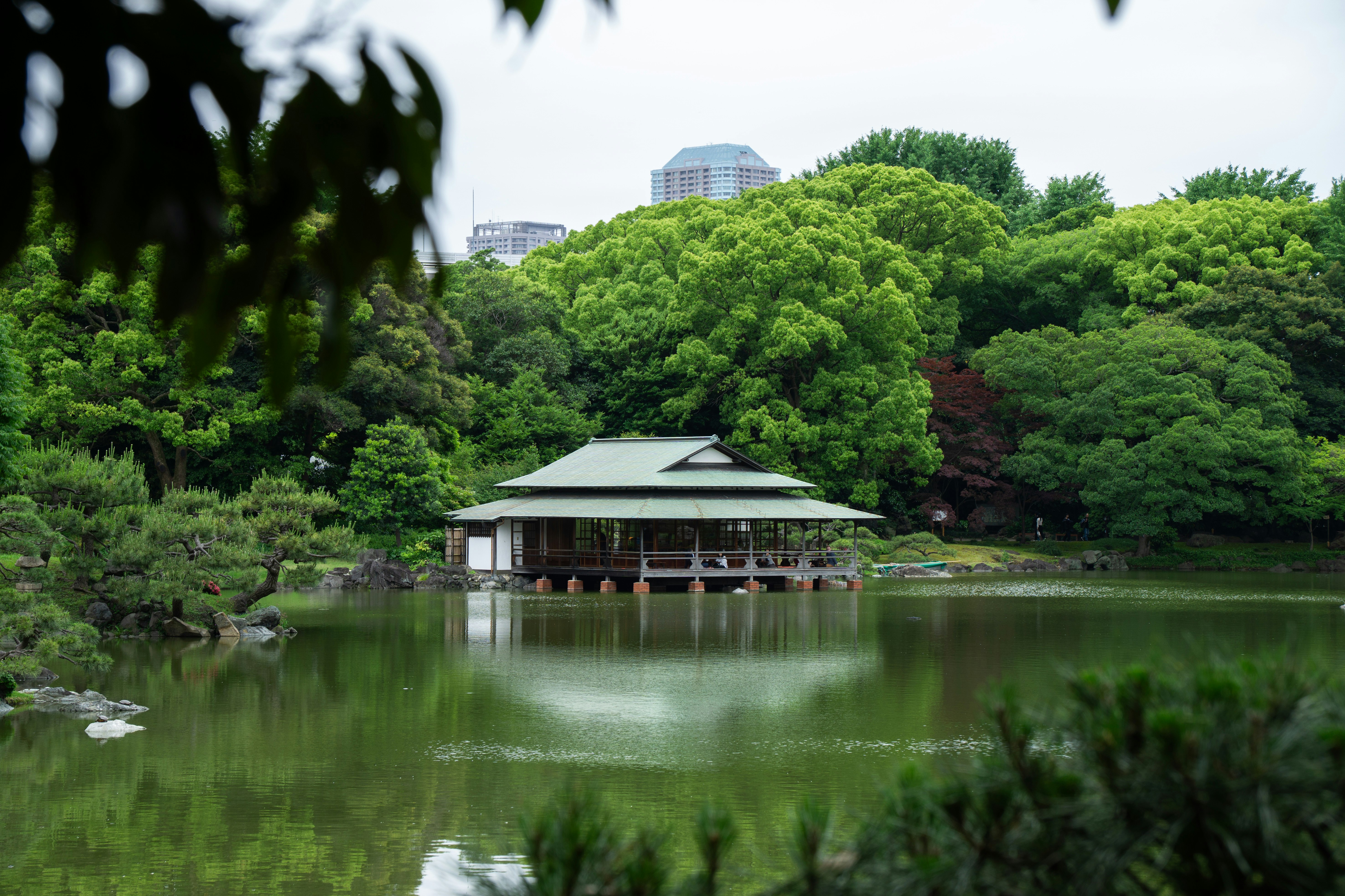 緑の木々に囲まれた池のほとりの和風の建物