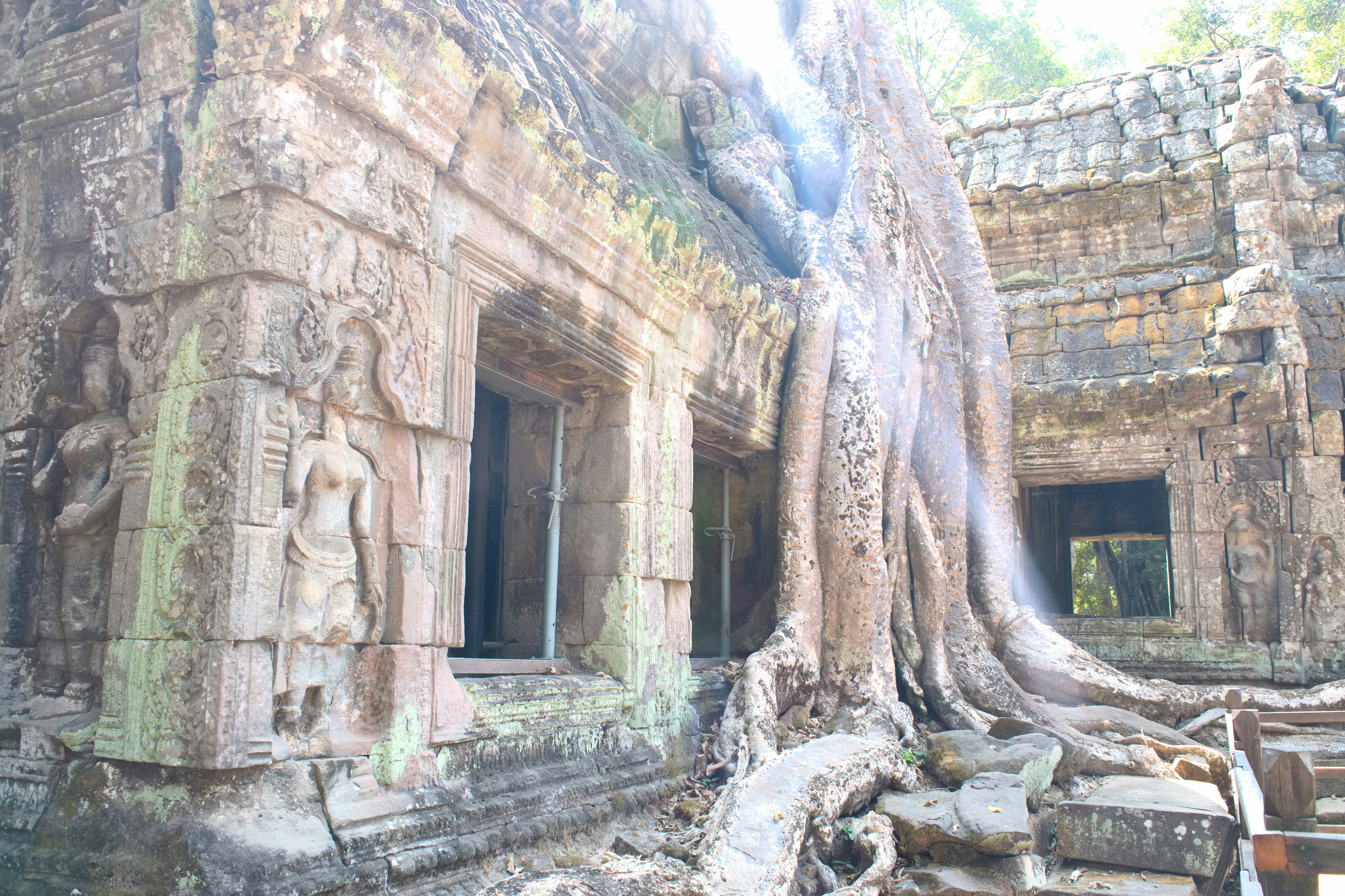 遺跡の石柱と苔むしたアーチのある洞窟遺構