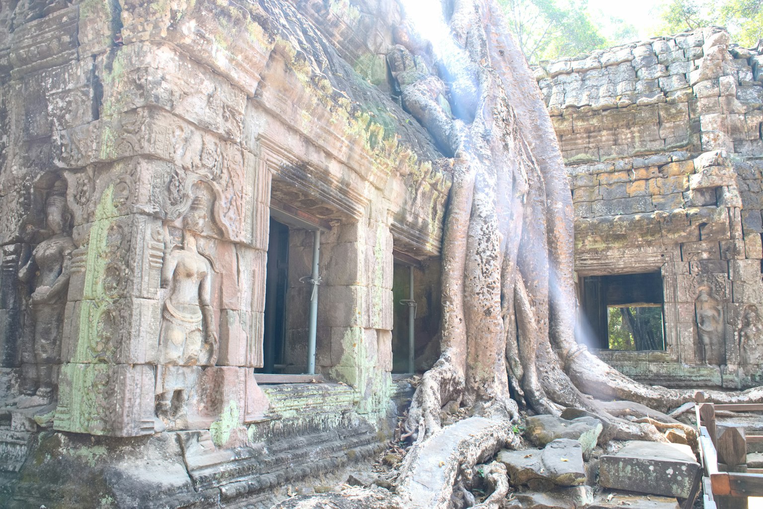 Ruines d'un ancien temple enlacées par de grandes racines d'arbres