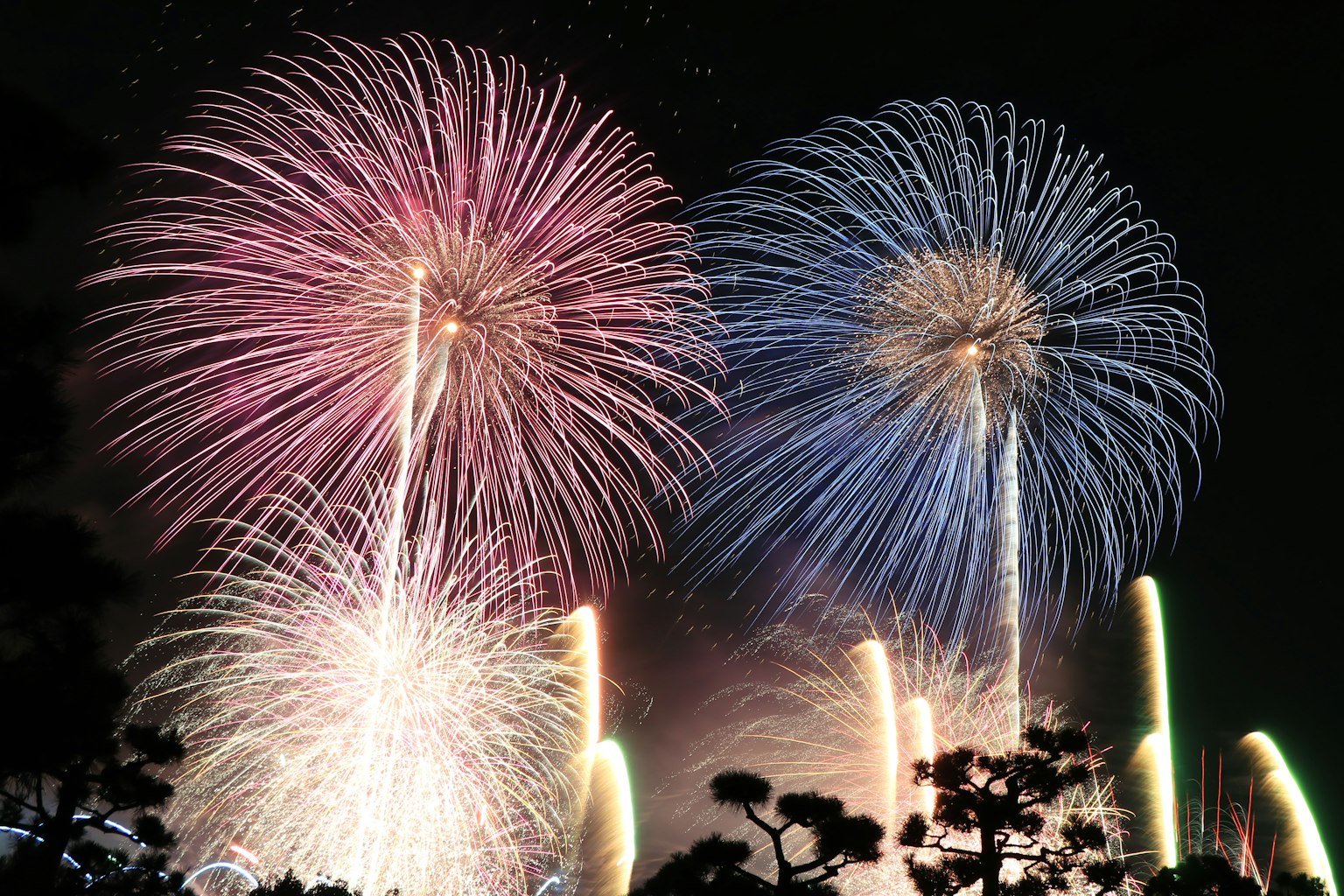 Magnifique spectacle de feux d'artifice dans le ciel nocturne avec des couleurs rouges et bleues