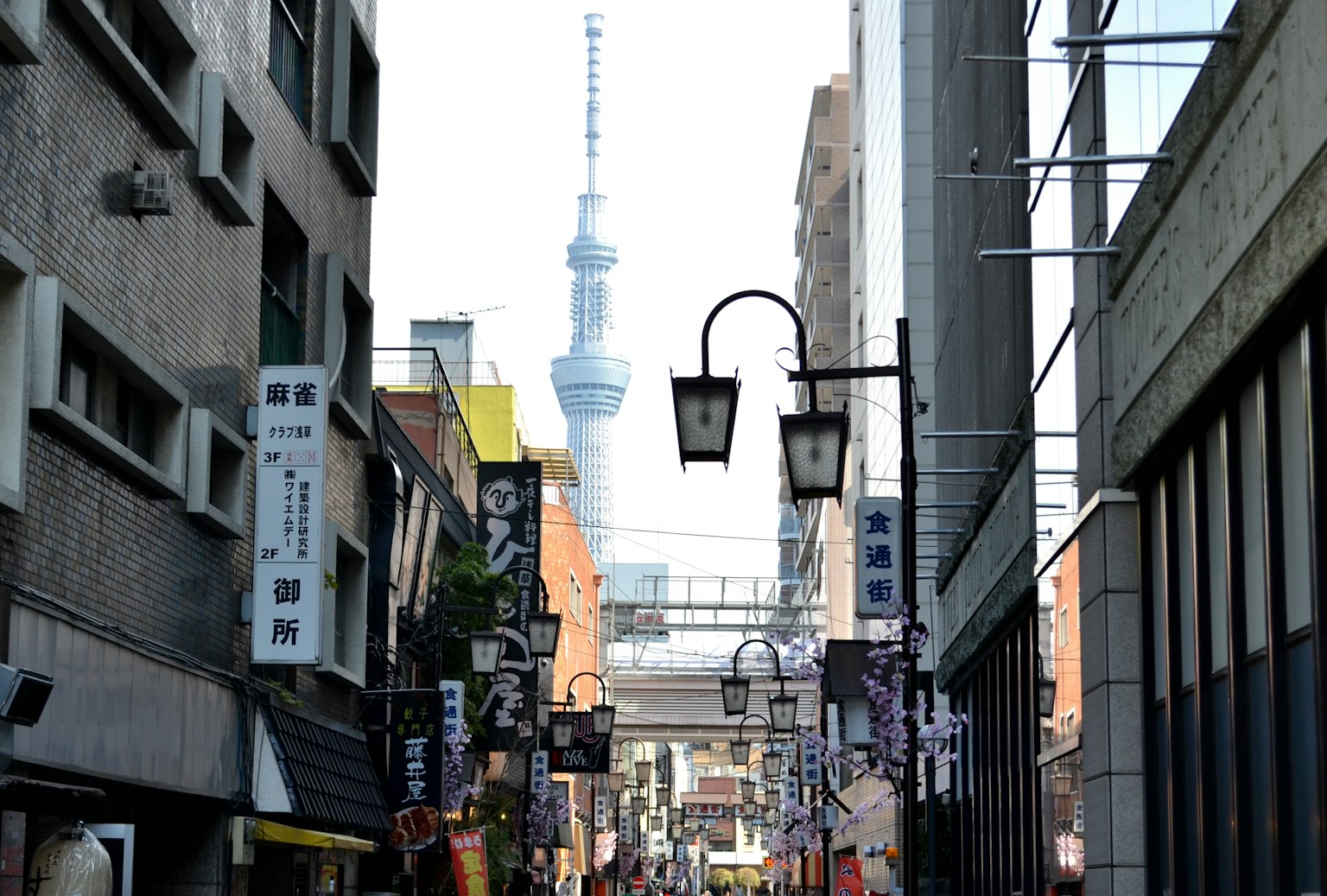 Straßenansicht mit der Tokyo Skytree im Hintergrund