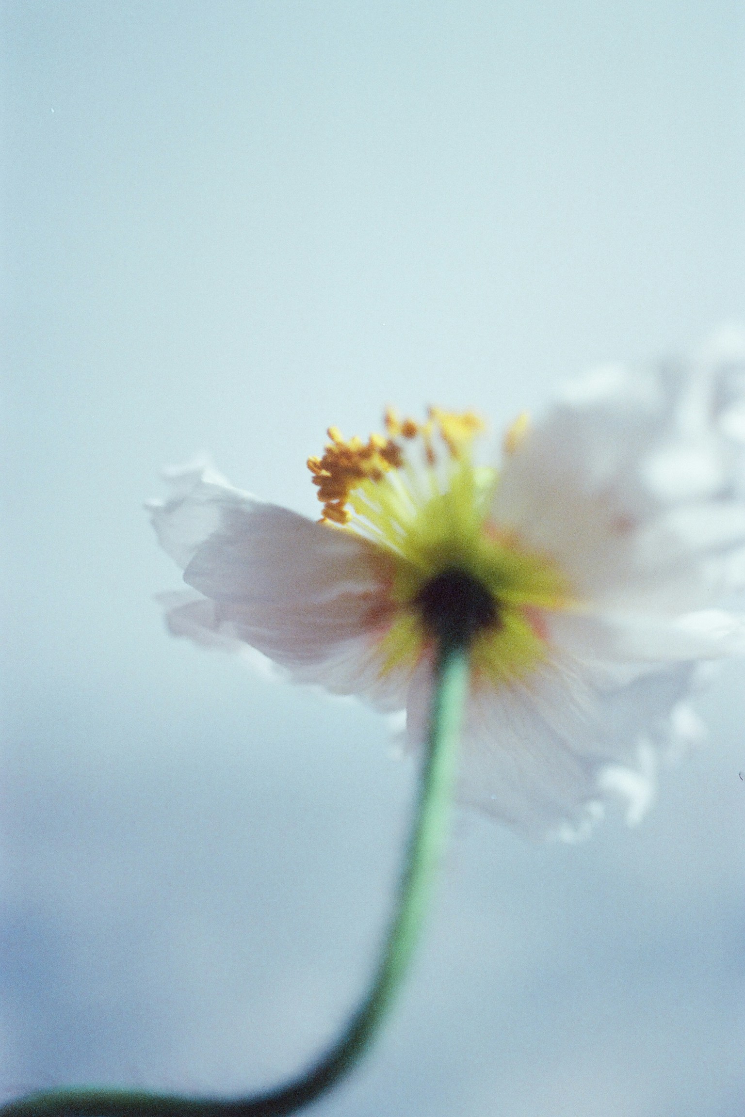 photo-FkcdSnDojCLQtjeVSR5Y-image