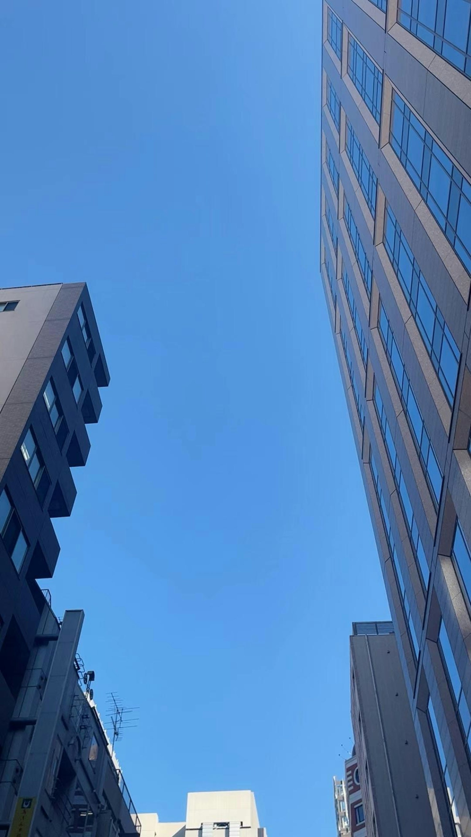 Blick auf ein hohes Gebäude vor einem klaren blauen Himmel