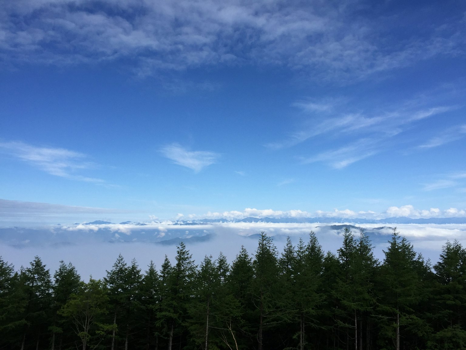 Un paesaggio con cielo blu e nuvole sopra alberi verdi